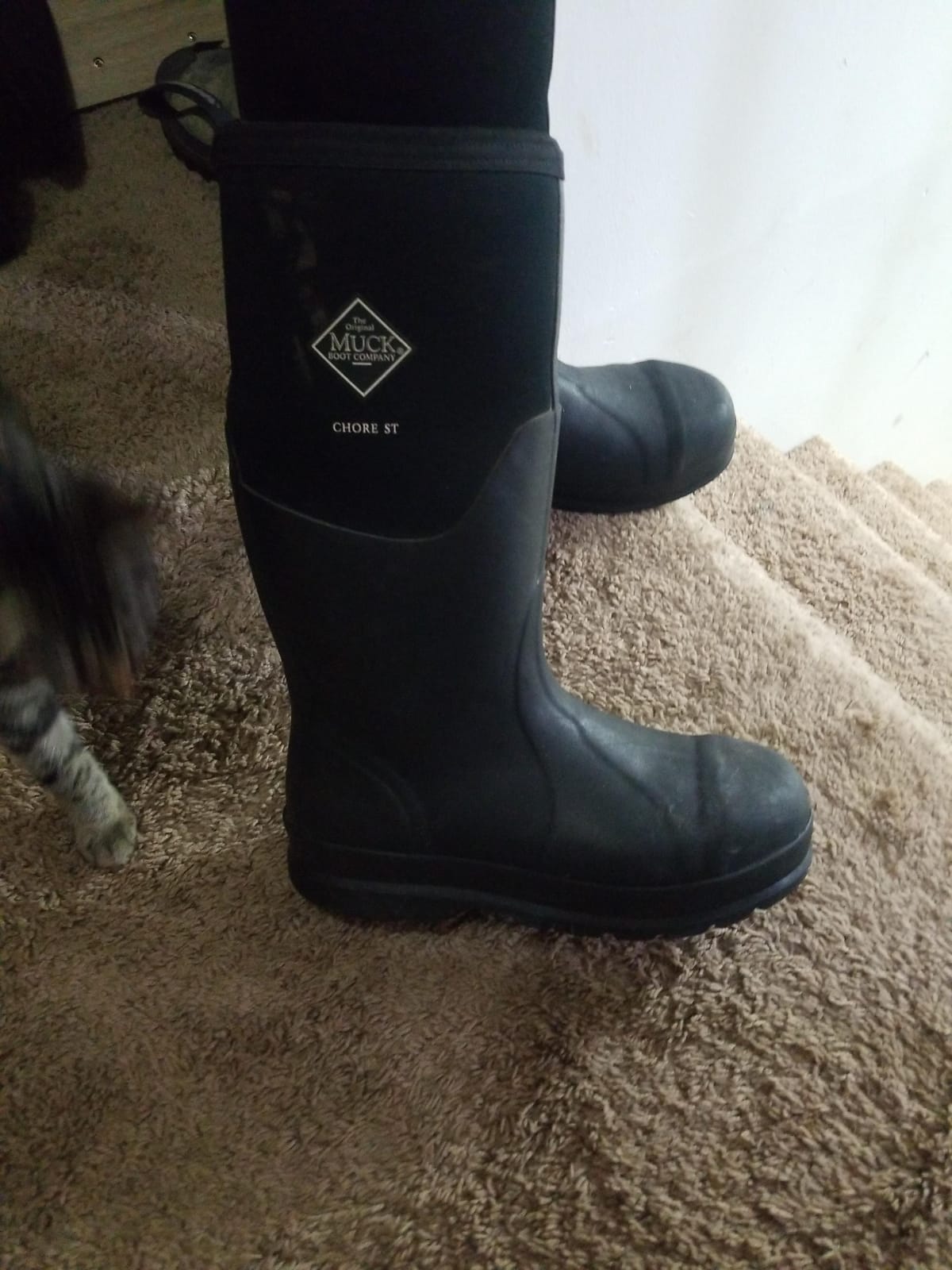 Muck Boot Chore Classic Men's Steel Toe Boot | Waterproof Rubber Work Boot customer photo 1