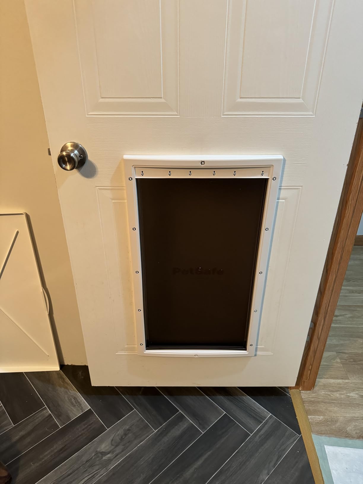 PetSafe Plastic Dog & Cat Door, Pets Up to 220 lb, X-Large | Flap Opening 13 5/8 in W x 23 5/8 in H, Snap-on Closing Panel, Paintable Frame, Easy DIY Installation customer photo 2