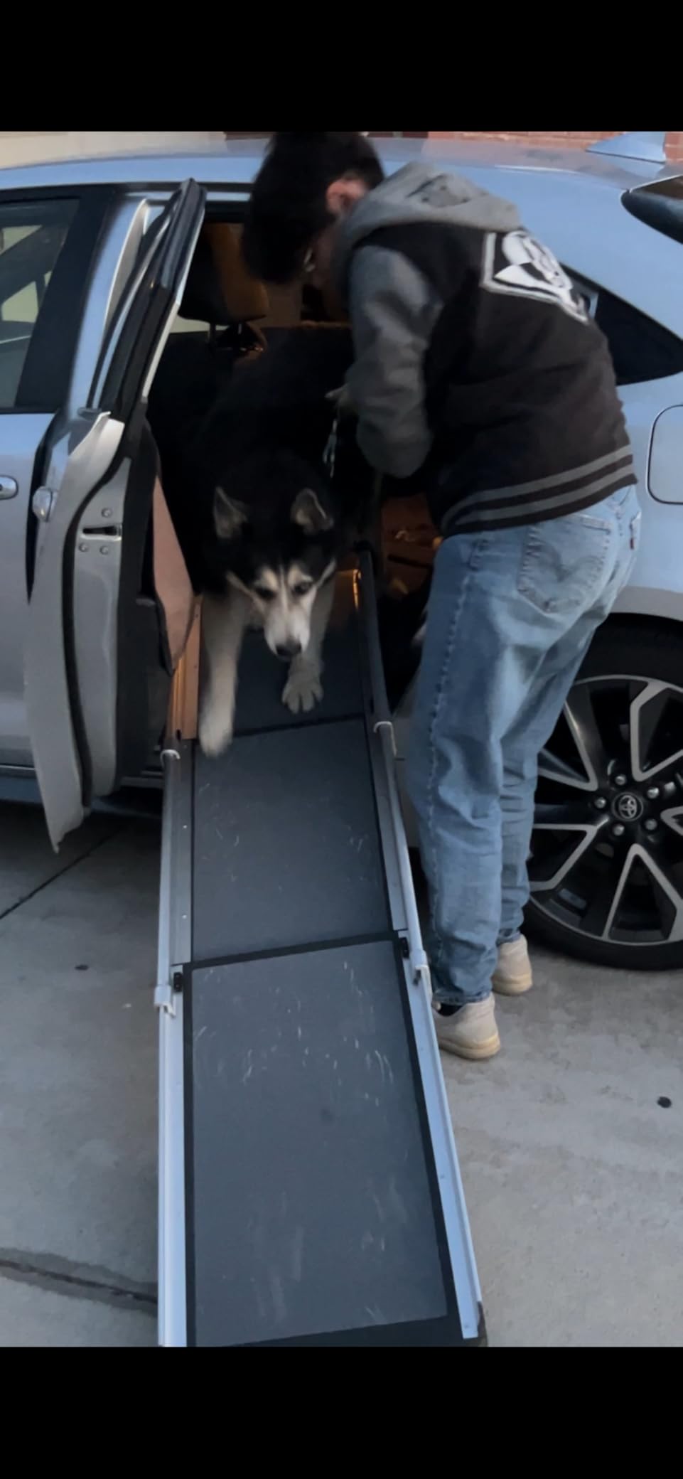 PetSafe Happy Ride Extra Long Telescoping Dog Ramp, Portable Pet Ramp for Cars, Trucks & SUVs with Adjustable Sizing | Extends 47-87 in to Reach Tall Trucks & SUVs, Rubber Feet, Side Rails, Safety Latch for Storage, Supports Dogs up to 300 Lb customer photo 1