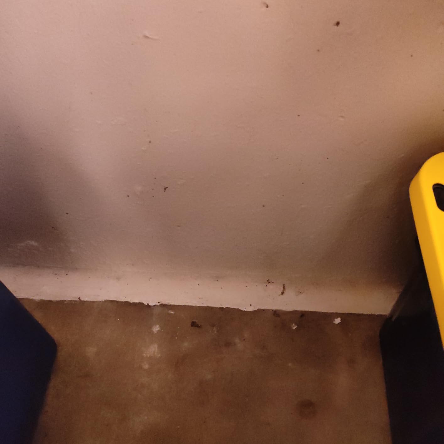 Ames Research Laboratories BMX5RG Blue MAX Waterproofer, Regular Use in Interior & Below-Grade Exterior Concrete Sealer and More. Liquid Rubber, 5 Gallon (Pack of 1), 640 Fl Oz | Ideal for waterproofing above & below grade foundations, basements, roofs, floors & more. customer photo 1