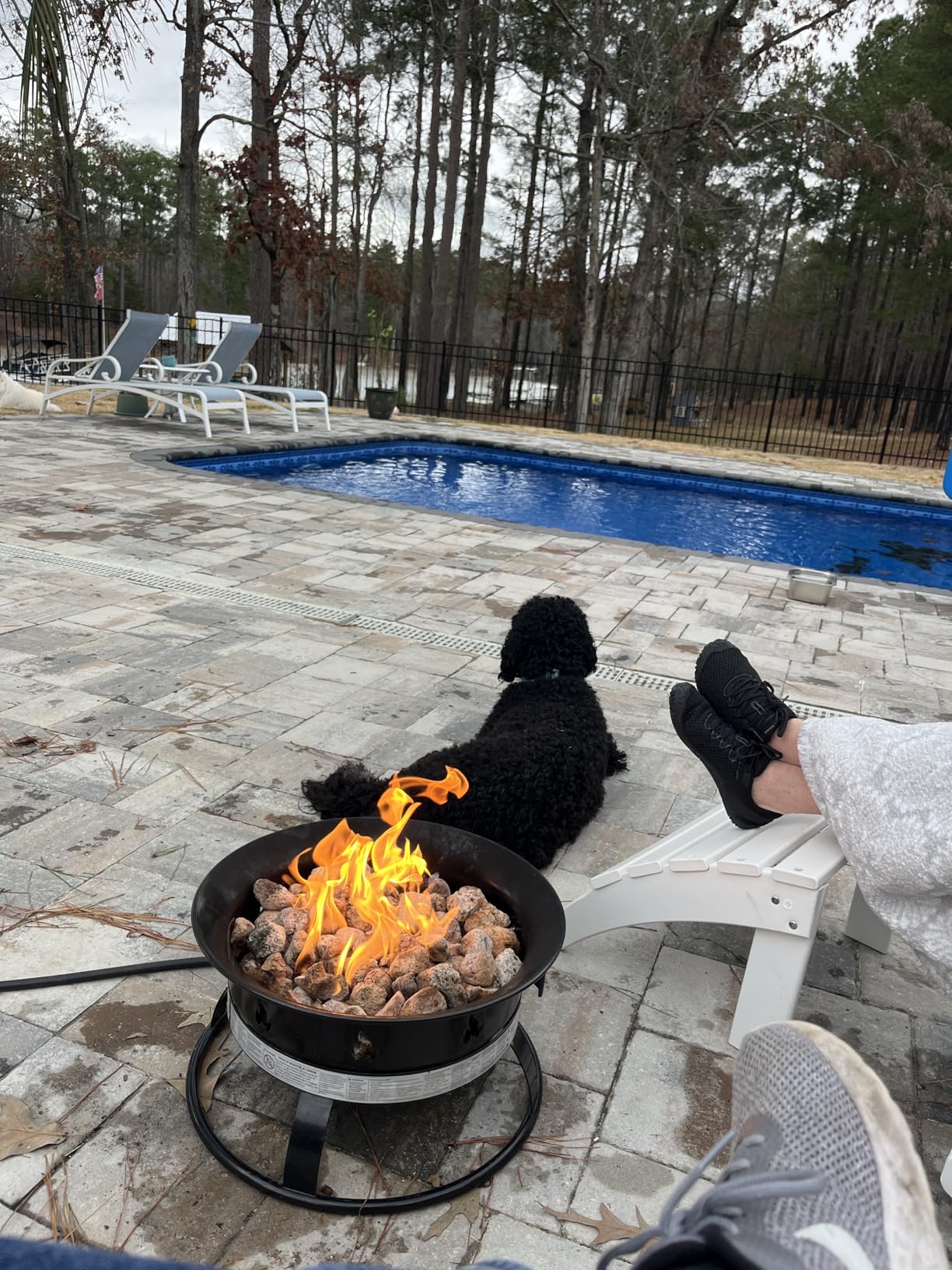 Outland Living Portable Propane Fire Pit, 19-inch, 58,000 BTU with Fire Pit Cover & Carry Kit, Smokeless Gas Firebowl | Perfect for Camping, Patio, Backyard, Tailgating, Deck, RV| Black 893 Deluxe customer photo 2