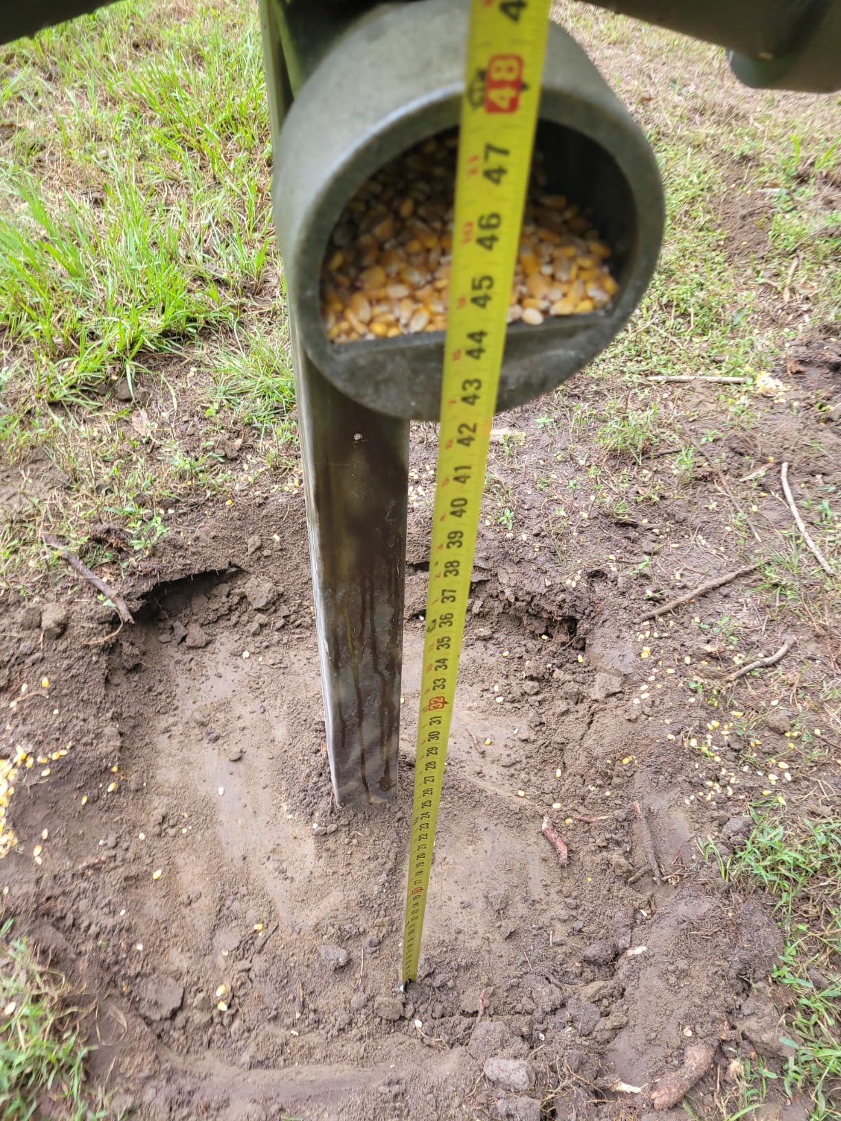Banks Outdoors Gravity Fed Tree and Post Mountable Weatherproof Feed Bank Deer and Game Hunting Feeder with 40 Pound Capacity, Green customer photo 2
