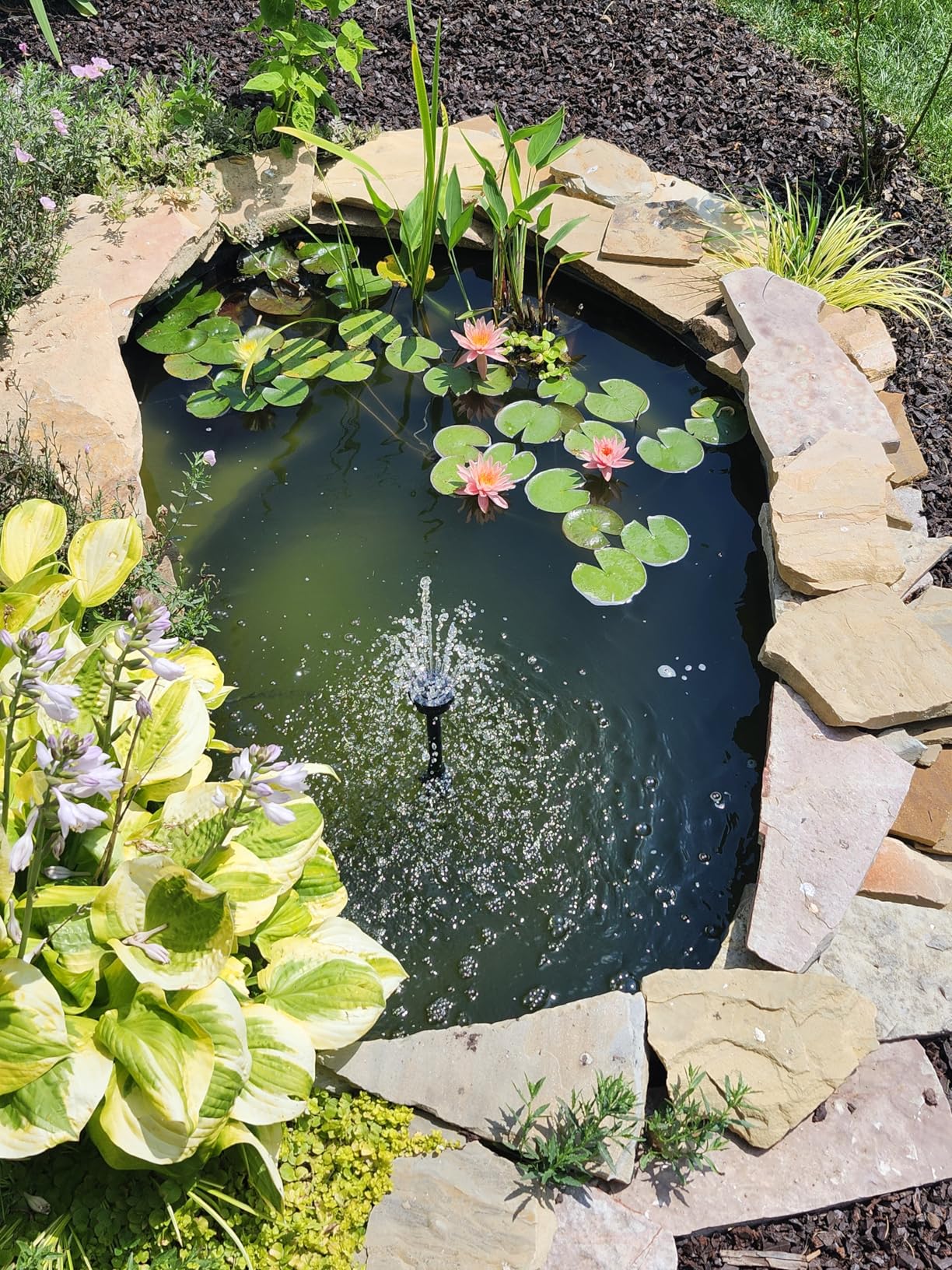 CrystalClear PondAir 2 Complete Aeration Kit, Koi & Fish Ponds Bubbler customer photo 2