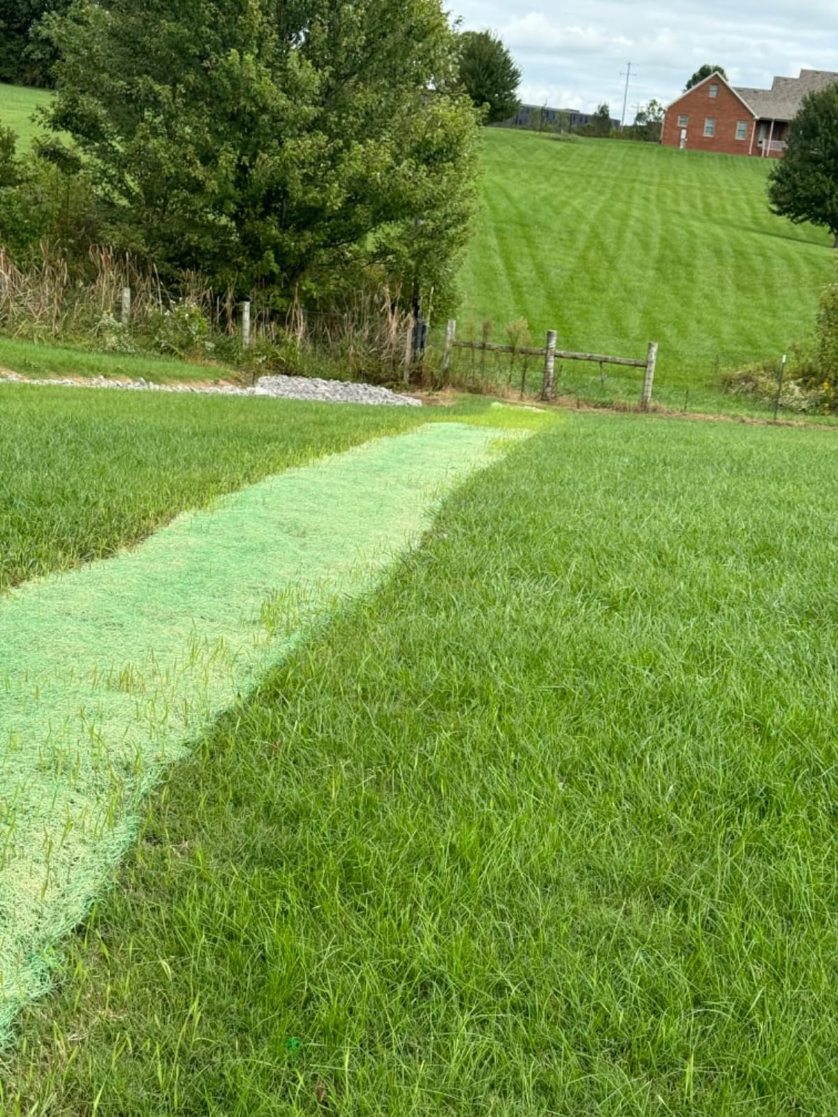 Dewitt Single Net Excelsior Erosion Control Blanket, 4x112.5 Ft, Green customer photo 1
