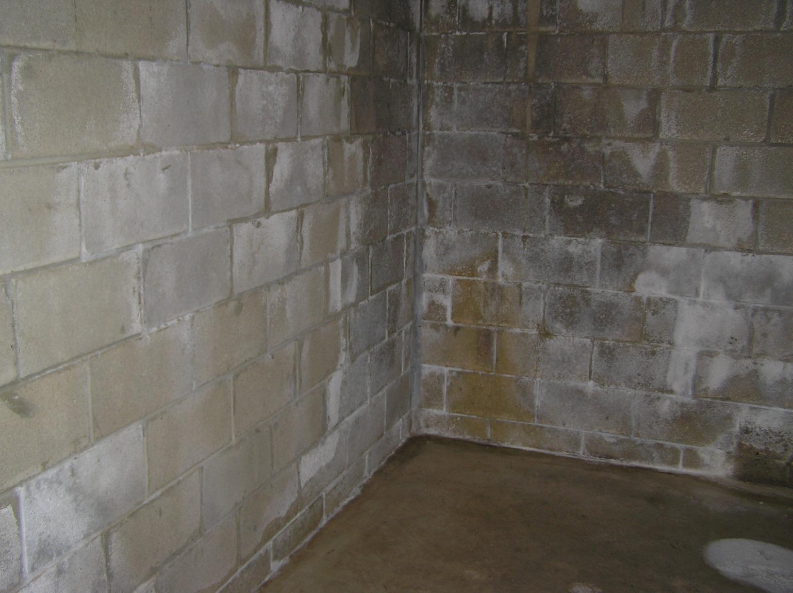 RadonSeal Plus Concrete Sealer - Deep Penetrating Waterproofing for Basement Floors, Foundation Walls & Concrete Block - Reduces Moisture & Strengthens Concrete (5 Gallon) customer photo 1