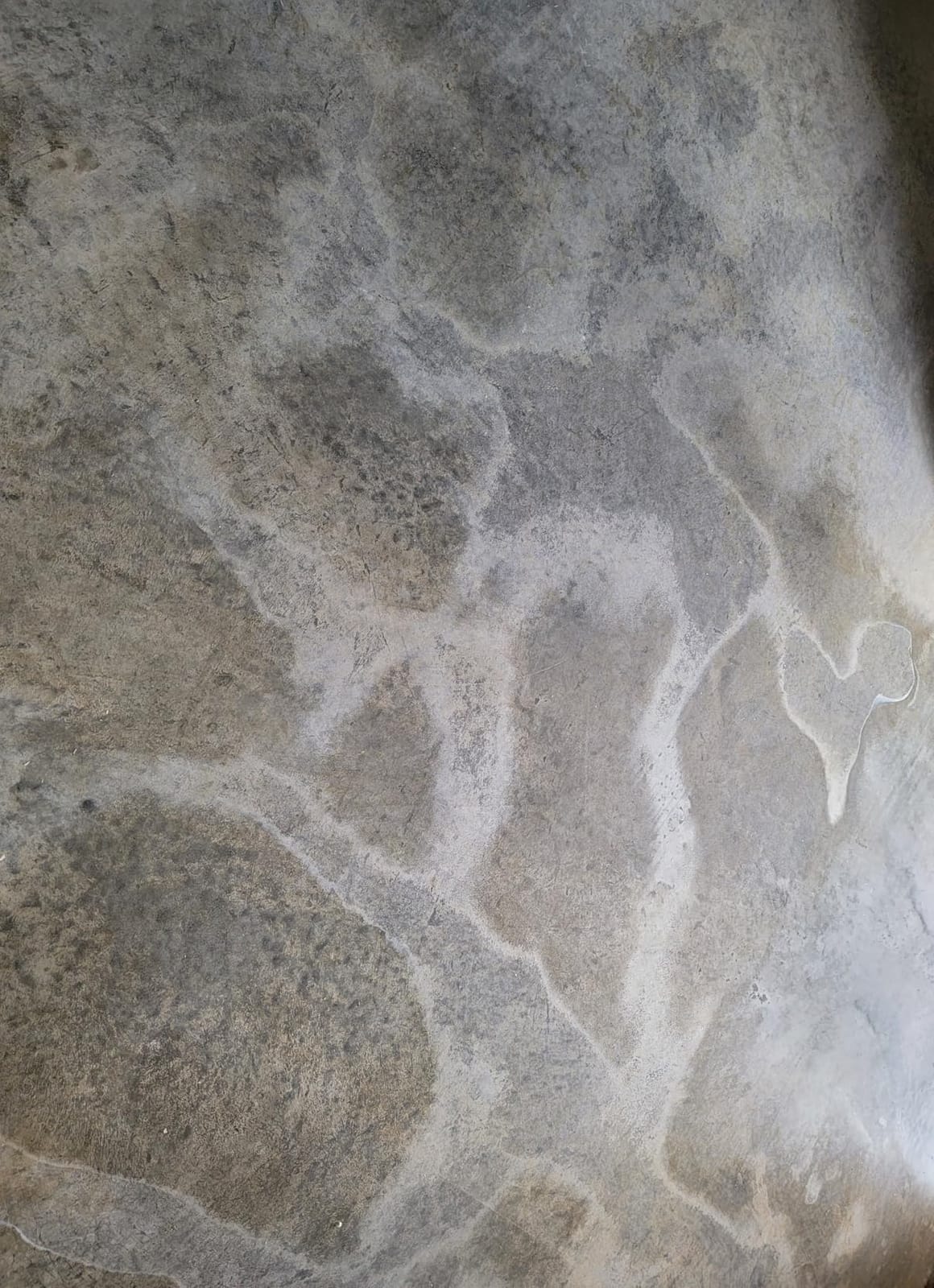 RadonSeal Plus Concrete Sealer - Deep Penetrating Waterproofing for Basement Floors, Foundation Walls & Concrete Block - Reduces Moisture & Strengthens Concrete (5 Gallon) customer photo 2
