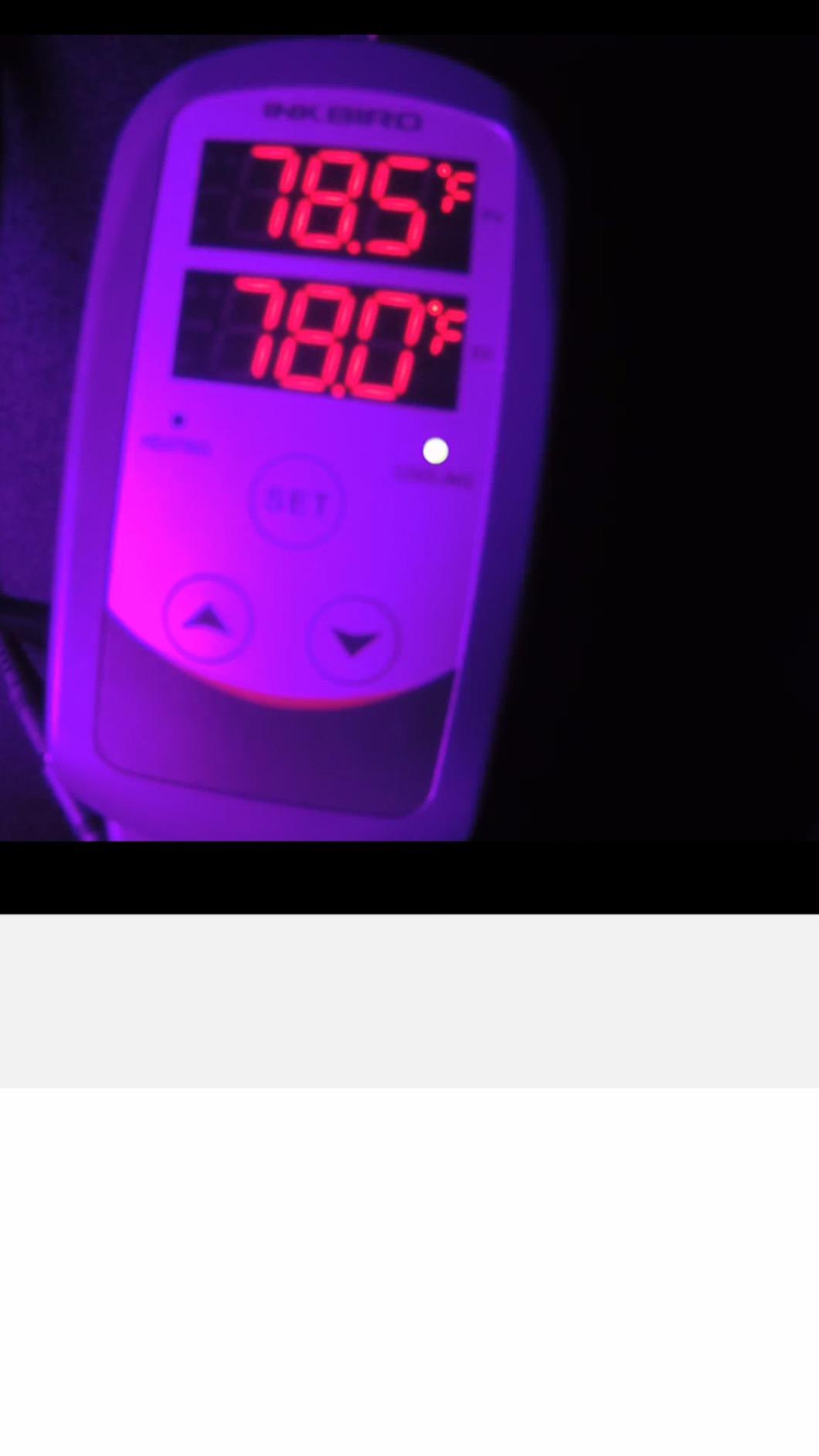 Dual Stage Temperature Controller Heating and Cooling ITC-308S with NTC Probe for Grow Room Fermentation Fridge customer photo 2