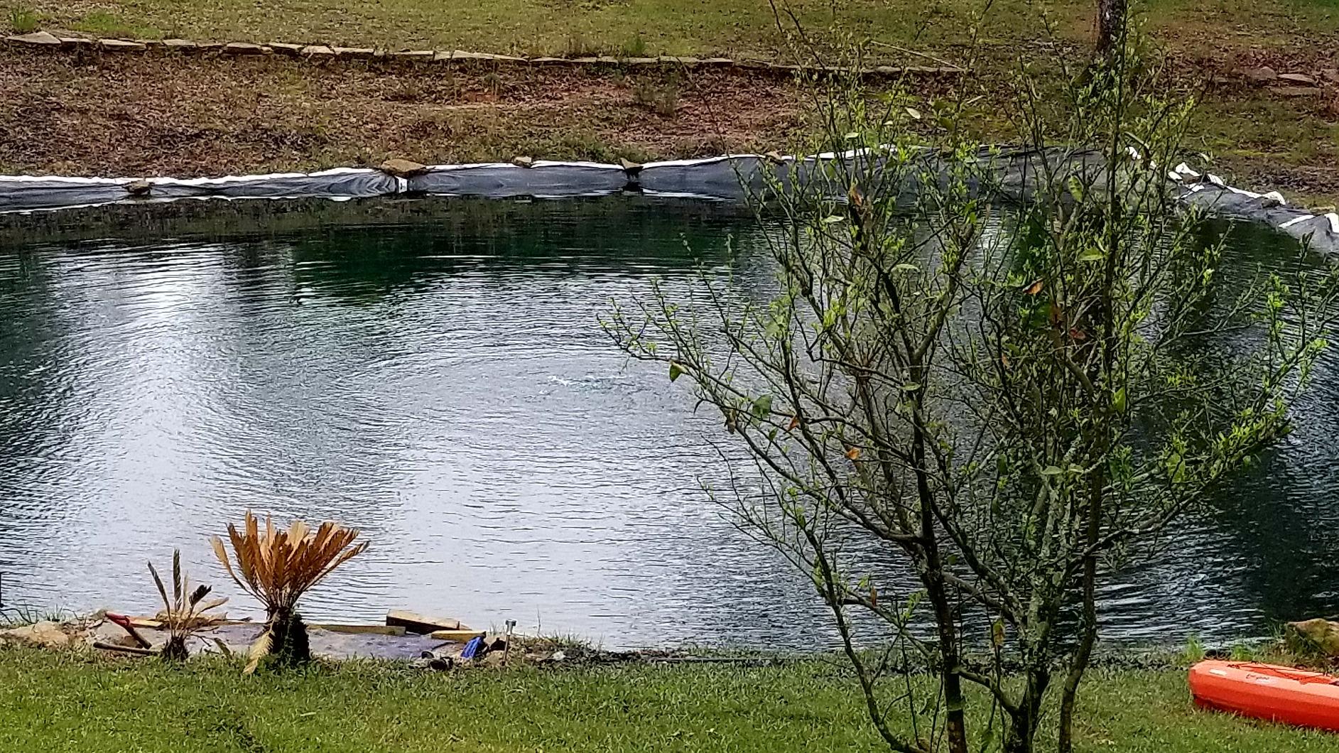 5.3 CFM Pond Aeration System, 50 Ft Weighted Tubing, Four 8 in Diffusers | Whisper quiet oil-free pump for ponds to 15,000 gallons, 15 ft depth customer photo 1