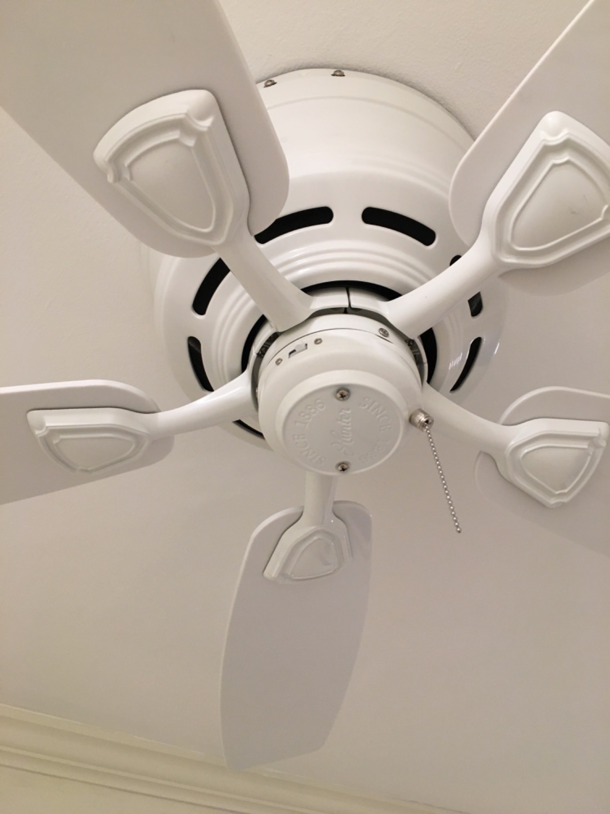 Hunter Sea Wind, Outdoor or Indoor, Ceiling Fan, 48 inch, Matte Black customer photo 1