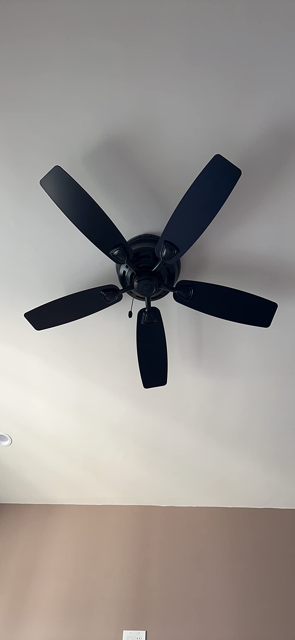 Hunter Sea Wind, Outdoor or Indoor, Ceiling Fan, 48 inch, Matte Black customer photo 2