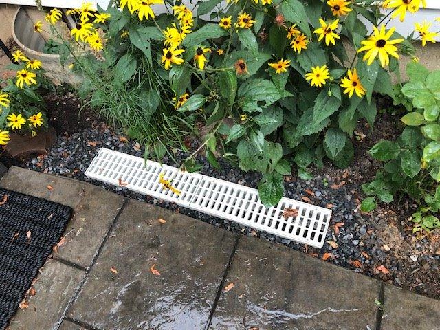 NDS Pro Series Channel Drain Kit, 5-1/2 in. X 39-3/8 in. Deep Profile Channel, Galv. Steel Grates, End Caps/Outlet, 5 in. customer photo 2