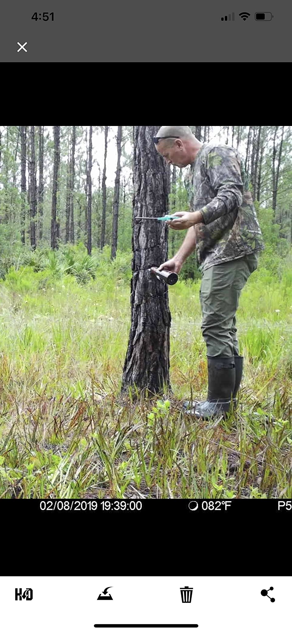 Pig Oil - Wild Hog Attractant - Long Lasting Hog Hunting Lure customer photo 1