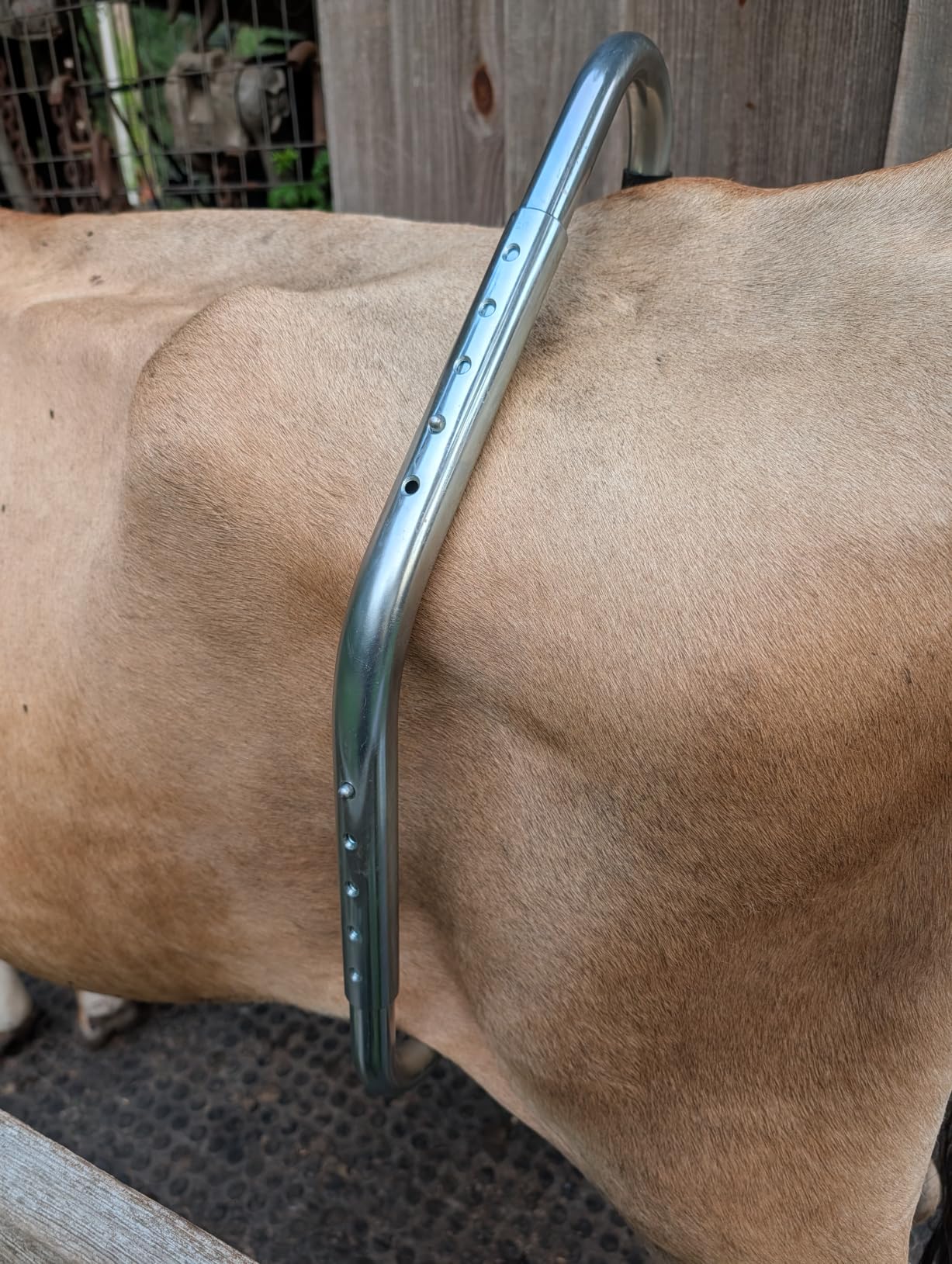 Coburn Kick-Stop F/Cows customer photo 1