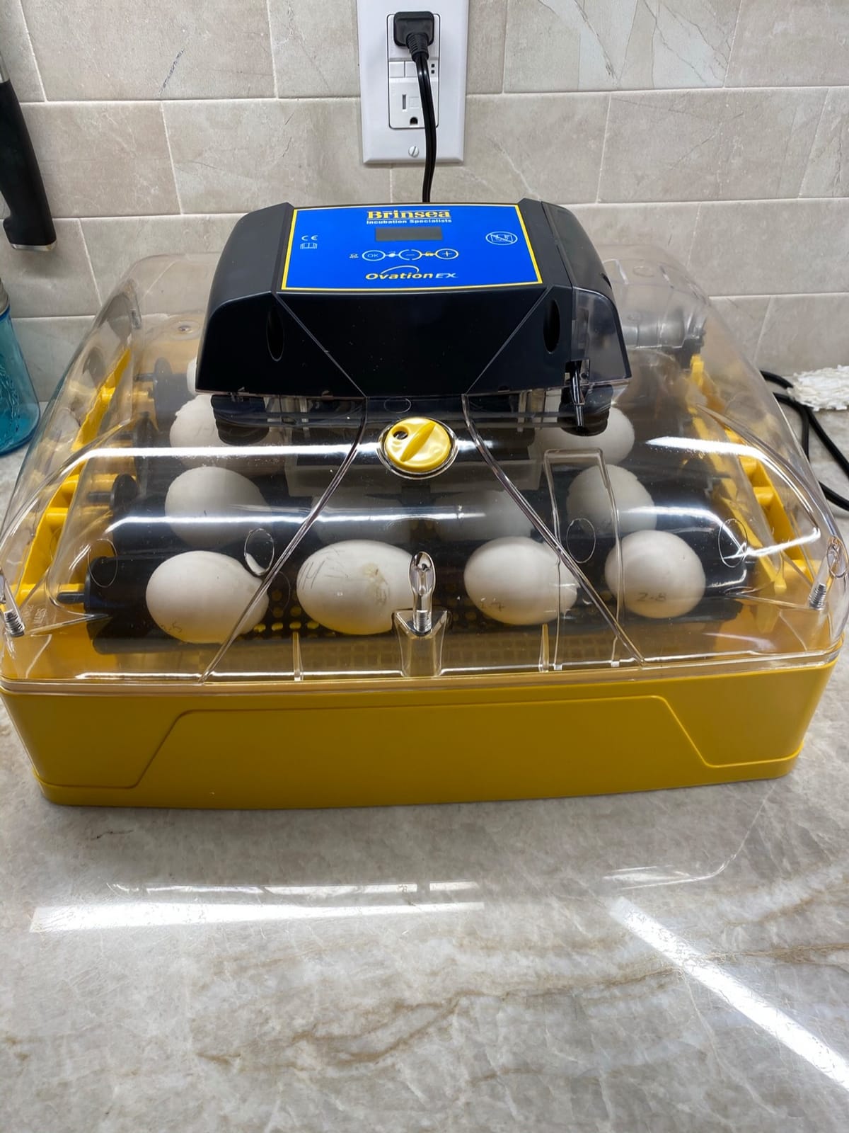 Brinsea Ovation 28 EX Egg Incubator, Automatic Turning & Humidity Control customer photo 2