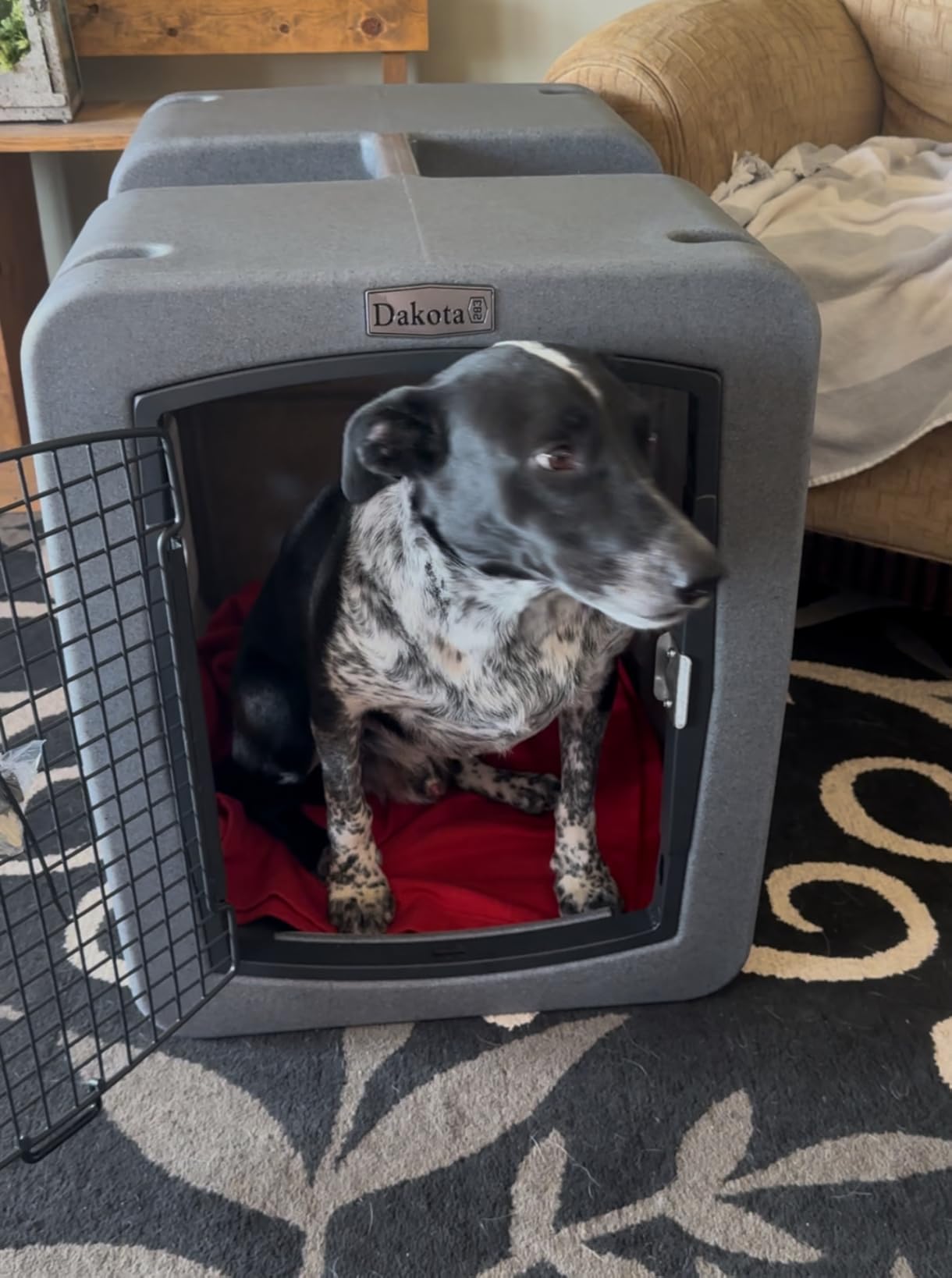 Dakota283 G3 Portable High-Security Framed Dog Kennel, Dark Granite - XL | Extra Large Size Molded Frame Pet Crate for Large Breed Dogs customer photo 2