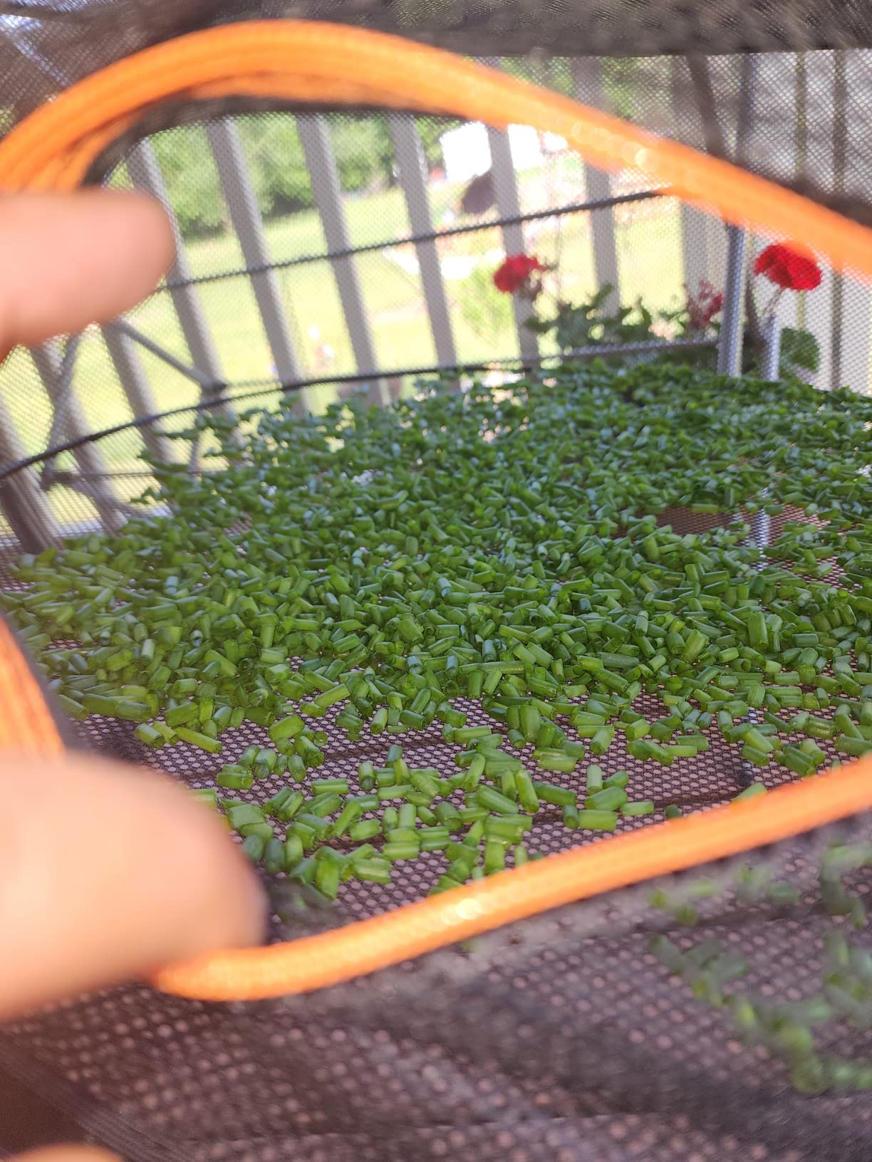 Herb Drying Rack - 2ft Diameter 4 Layer Folding Mesh Hanging Basket Dryer Net with Zippers for Seeds, Flowers, Buds, Plants, Garden Outdoor customer photo 2