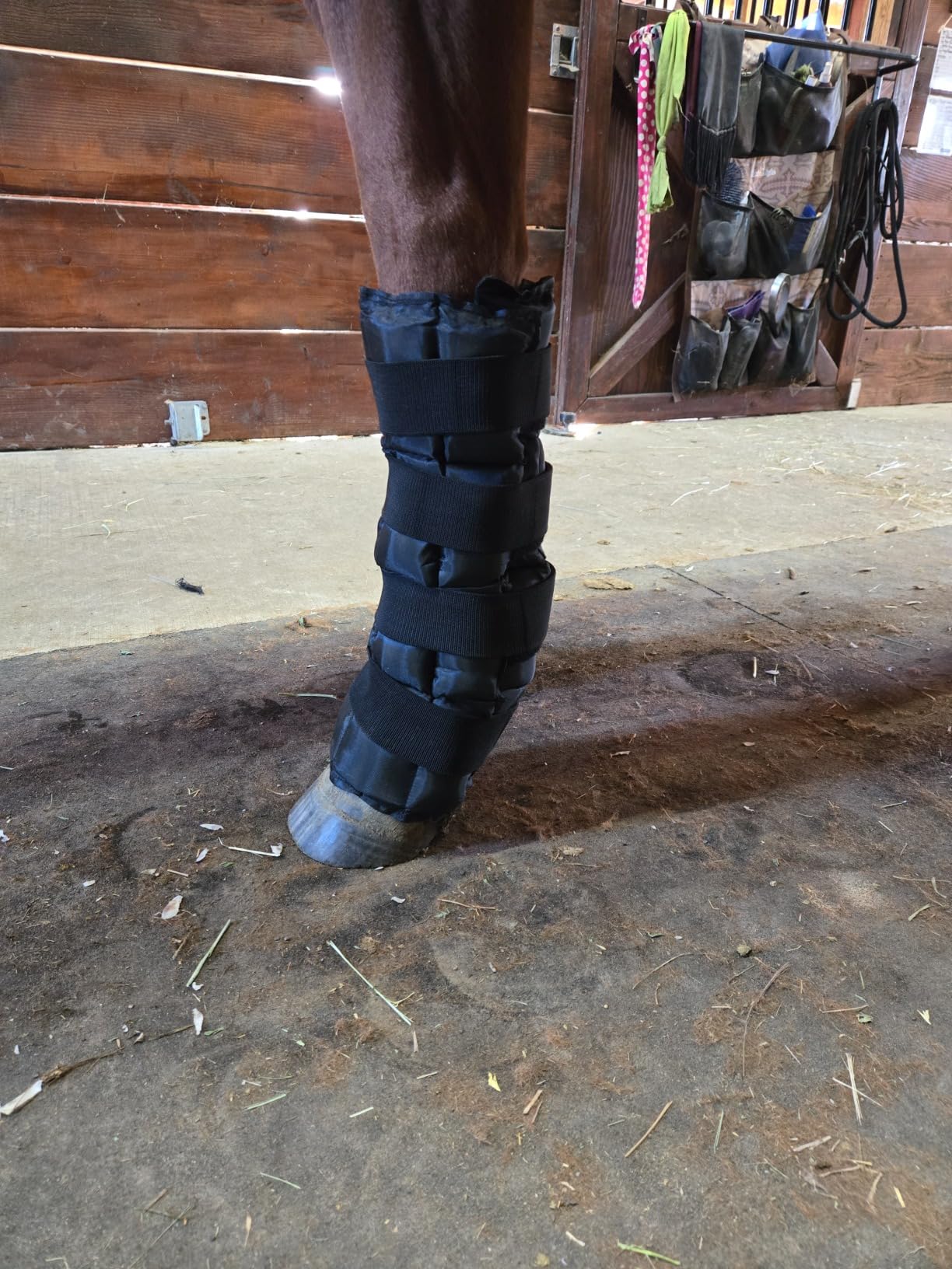 WORLD-BIO Horse Ice Boots, Cold Therapy Leg Wraps for Hocks/Ankles/Knees - Durable, Flexible, Universal Fit, Relieves Tendon Inflammation & Swelling, Post-Operative Recovery - Black customer photo 2