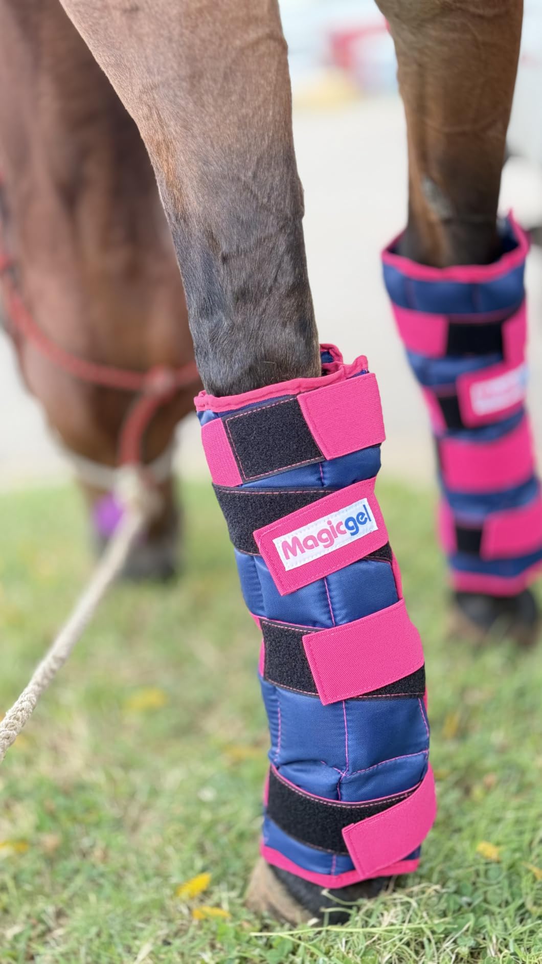 Magic Gel Horse Ice Pack with Carry Case - Twin Ice Boots | Cooling Horse Leg Wraps for Hock, Ankle, Knee, Legs, Boots, and Hooves | Horse Tack, Horse Supplies & Horse Gift Ideas for Horse Lovers customer photo 1