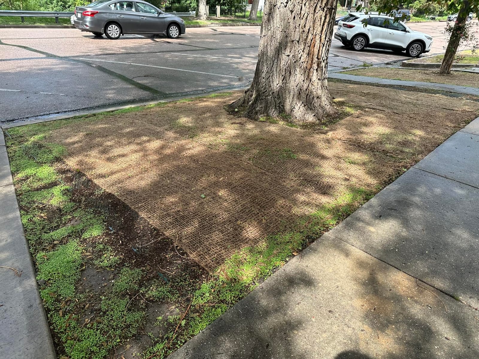 Jute Erosion Control, Soil Saver Mesh Blanket - 48