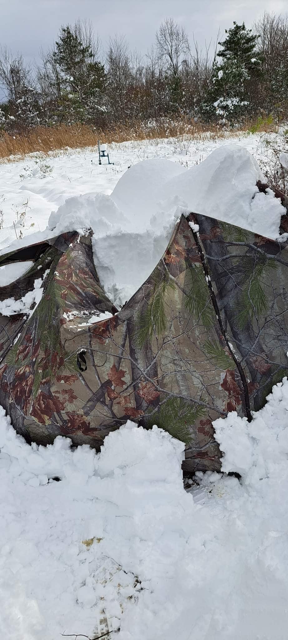 Barronett Blinds® Feather Five, Portable Hunting Blind, Huge Interior, Lightweight, 4-Person, Bloodtrail® Backwoods, 72” x 84” x 84”, FF500BW customer photo 2