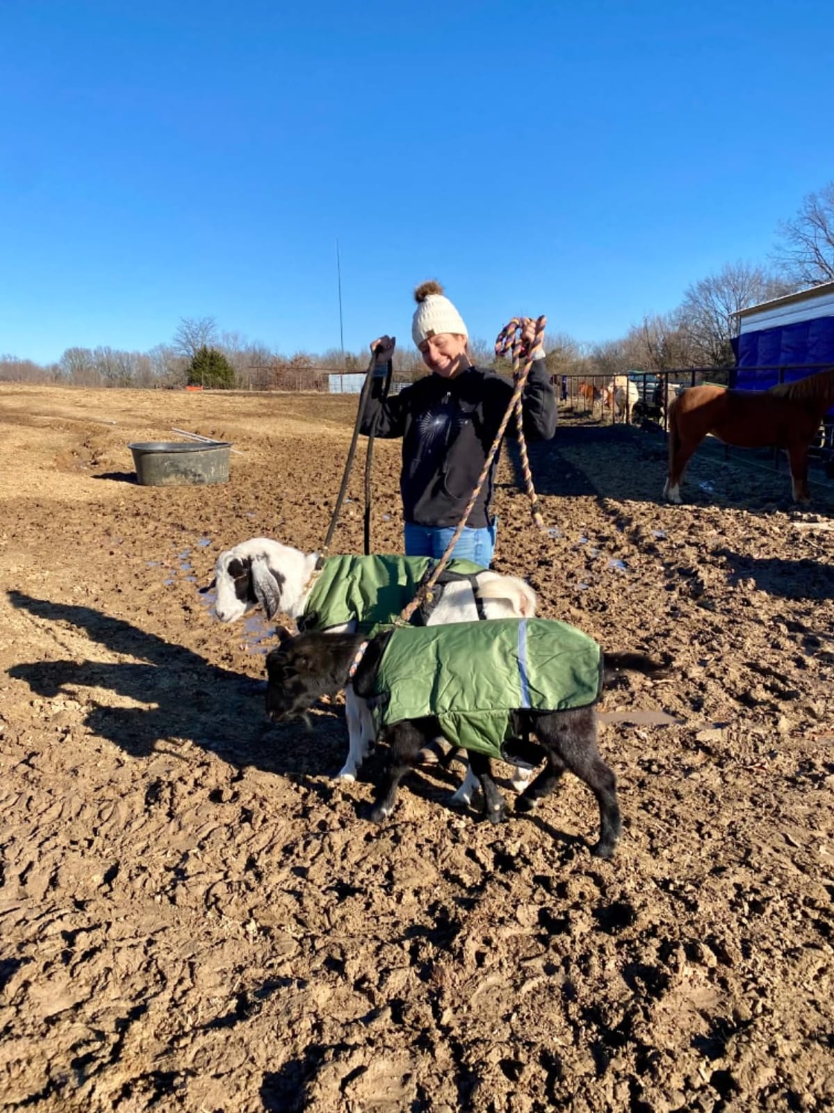 Calf Blanket Calves Warm Clothes Calf Saver Coat, Sheep Goat Blanket, for Keep Cows Goats Sheeps Warming, Thickened Belly Protection customer photo 2