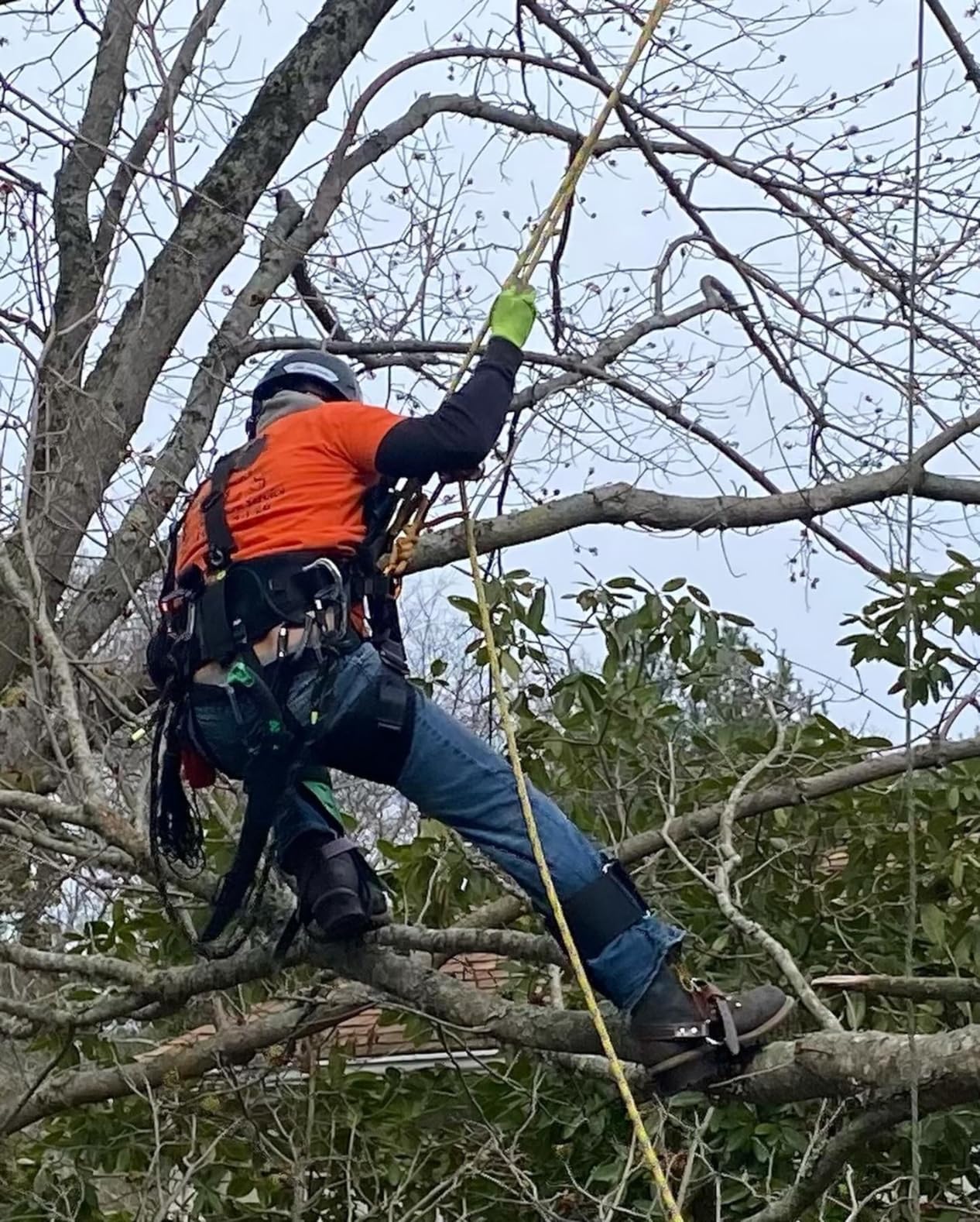 SOB Climbing Harness, Half Body Tree Climbing Harness Men, Thicken Widen Protect Waist Safety Harness for Arborist Harness, Working Rescuing at Height Safety Belt Harness customer photo 1