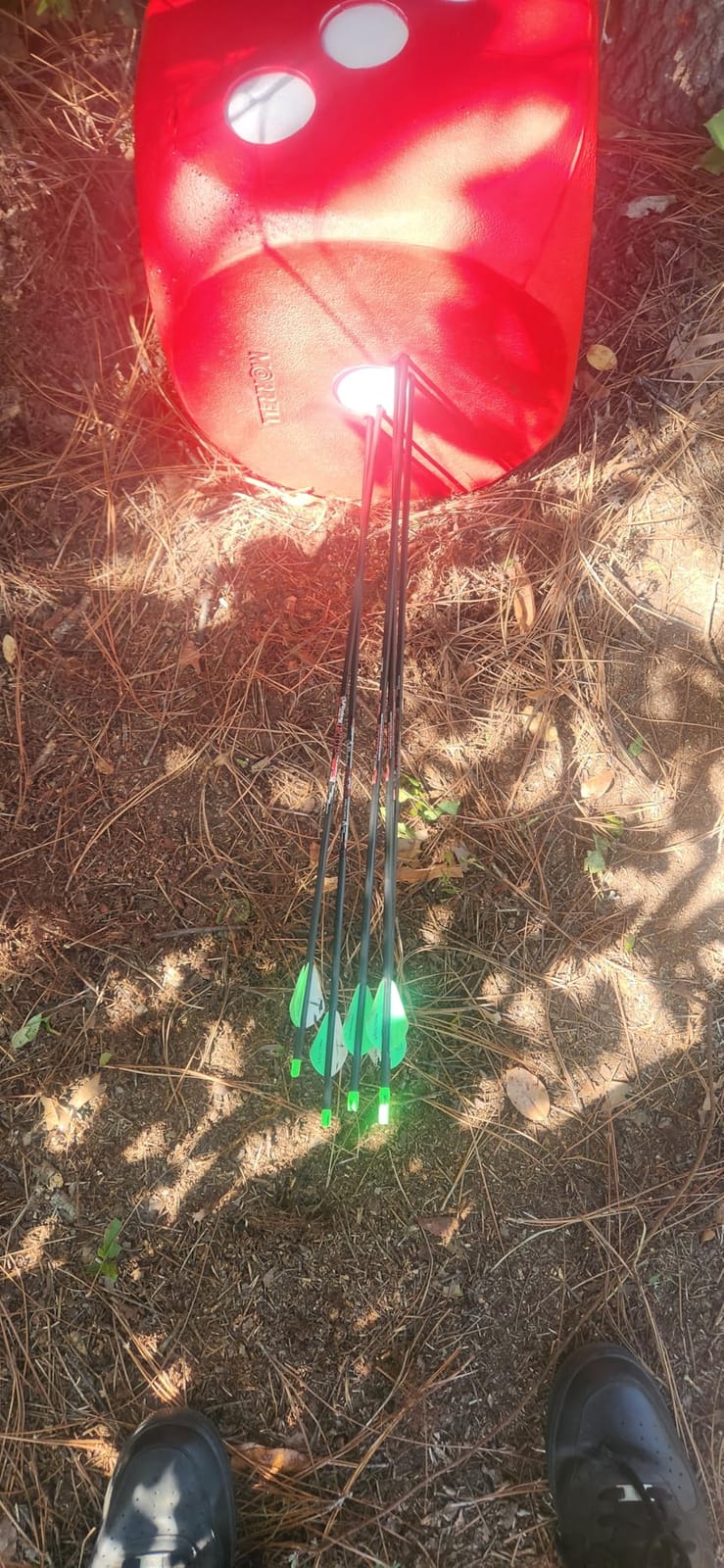 Morrell High Roller Foam Archery Target, 6-Sided Cube w/ 21 Bullseyes and Carry Handle - Portable Backyard Target for Broadheads, Field Points, Compound Bows and Crossbows customer photo 1