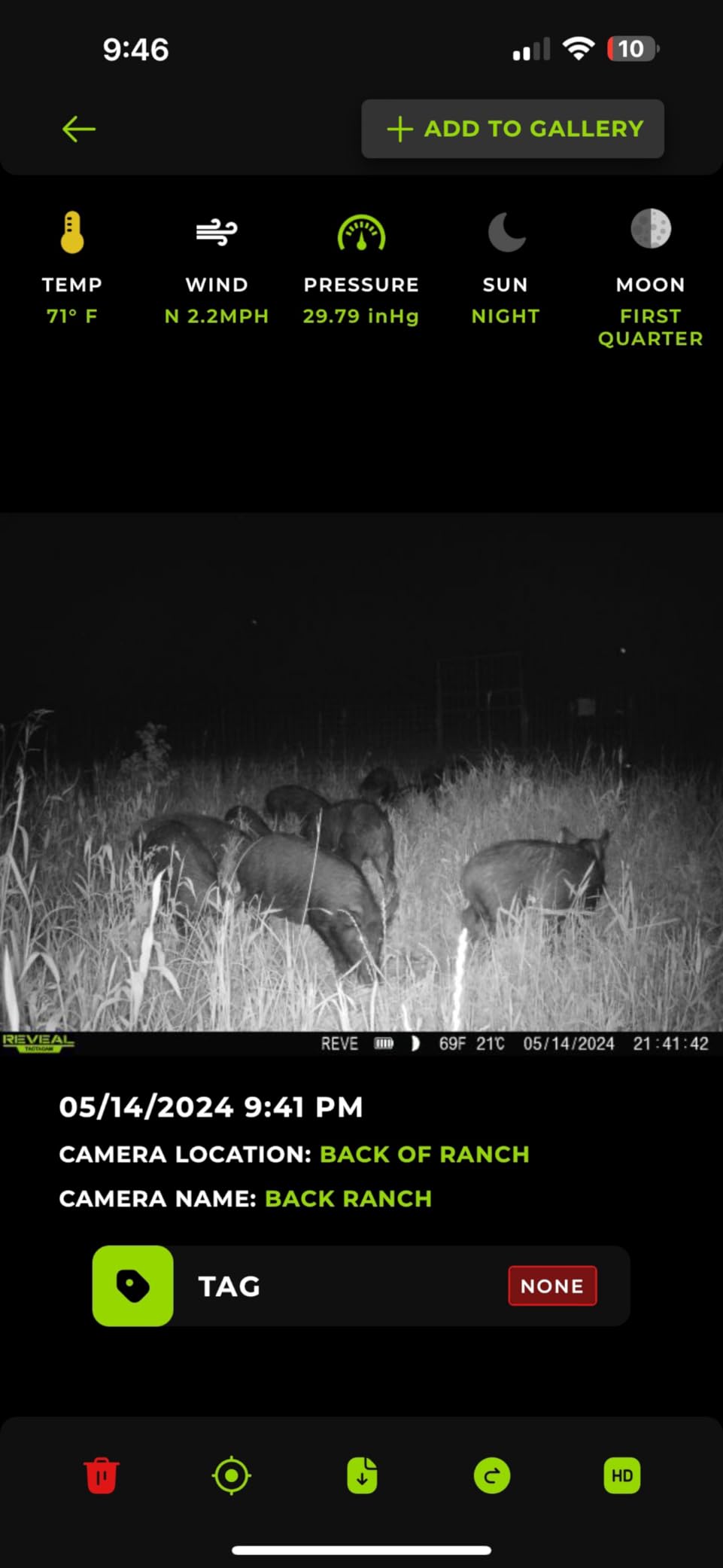 Hog Trap Trigger customer photo 1