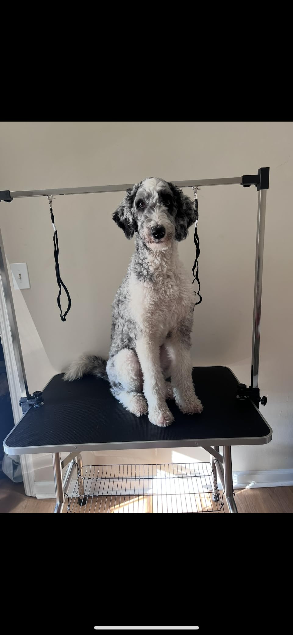 42'' Foldable Dog Grooming Table with Arms/Nooses/Mesh Tray, Black | Stainless Steel Grooming Table for Dogs at Home, Adjustable Pet Bathing Station, Non-Slip Waterproof Tabletop, Capacity 330Lb customer photo 2