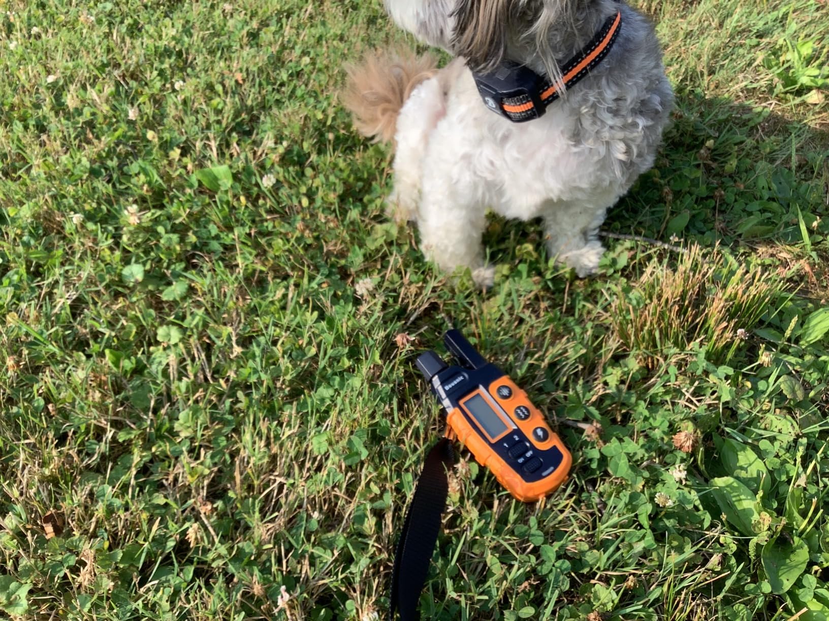 Bousnic Dog Shock Collar - 3300Ft Dog Training Collar with Remote for 5-120lbs Small Medium Large Dogs Rechargeable Waterproof e Collar with Beep (1-8), Vibration(1-16), Safe Shock(1-99) (Orange) customer photo 2