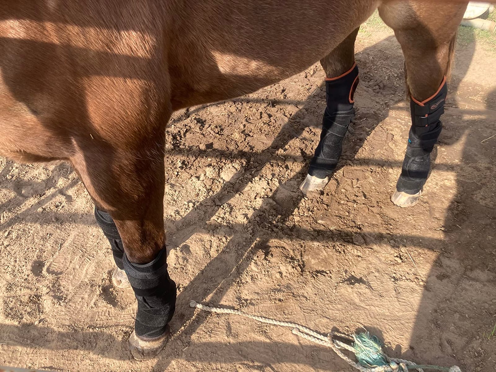 NEWGO Horse Ice Pack, 2 Wraps with 4 Reusable Gel Packs customer photo 1