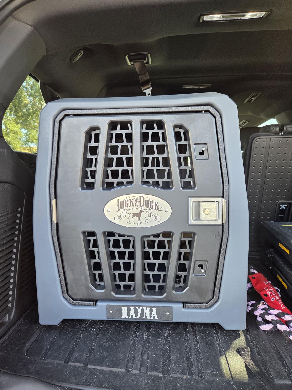 Lucky Dog Kennel, Durable Crash Tested Portable Dog Crates, Large customer photo 2