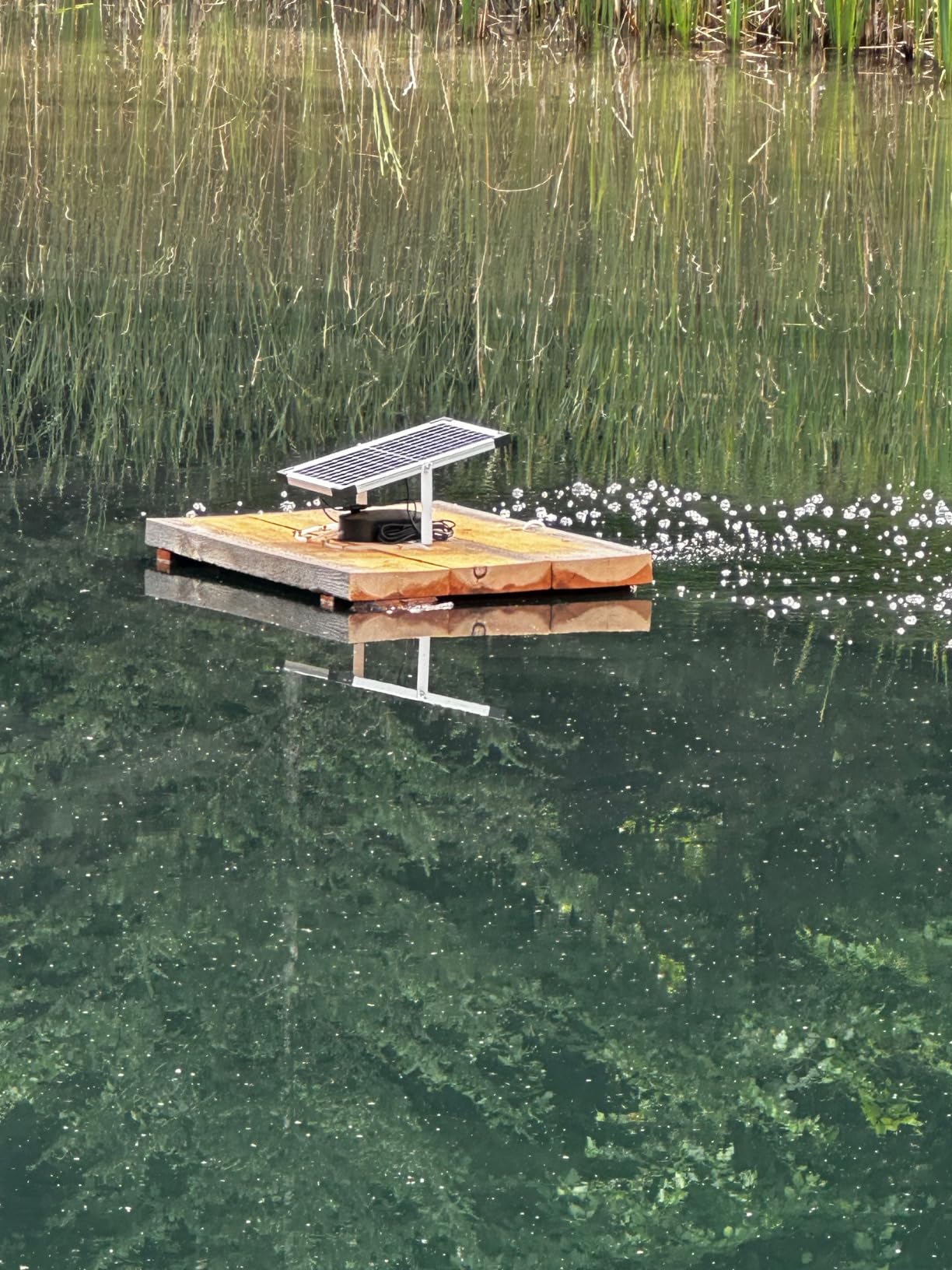 15W Large Solar Pond Aerator with 4400 mAh Battery Backup | Solar Aerator for Ponds with 2 Air Outlets, Low Noise Solar Air Pump Outdoor for Koi Pond Fish Tank Hydroponics customer photo 1