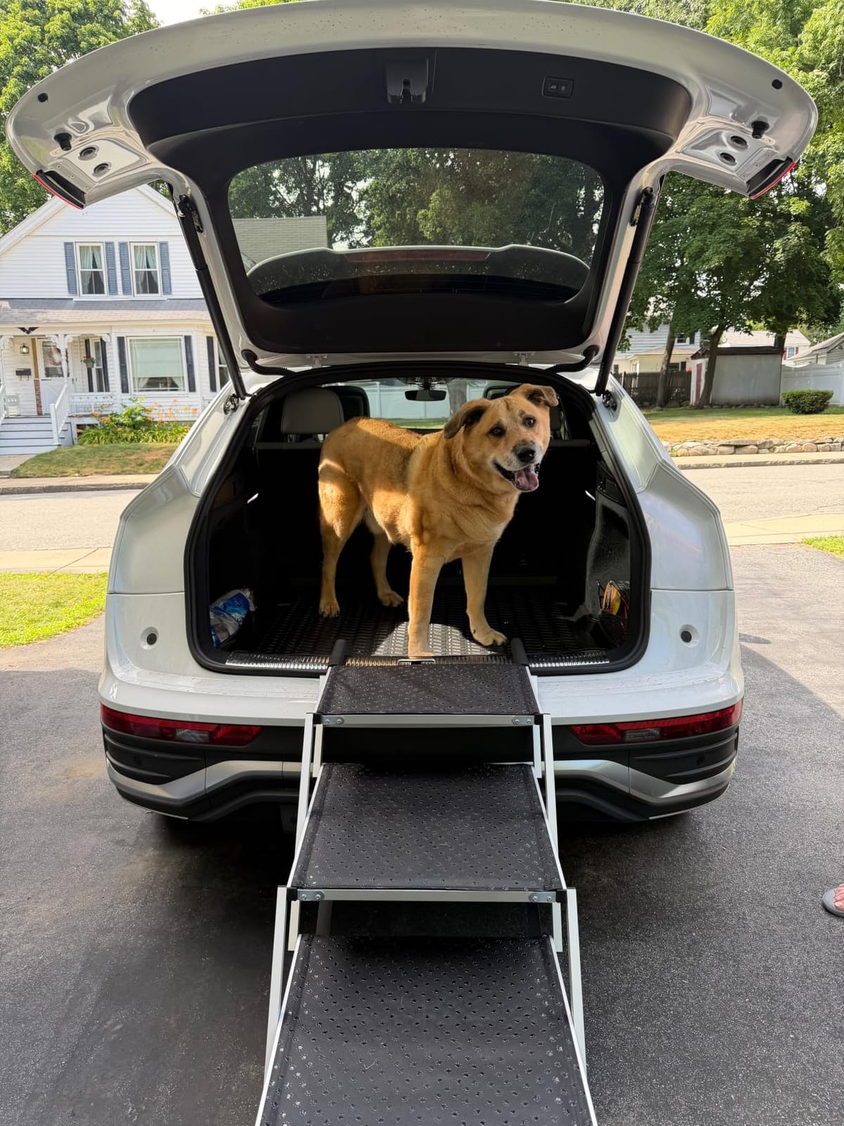 Extra Wide Dog Stairs for Large Dogs, Foldable Dog Ramp for Car with Non-Slip Surface, Dogs Stairs for Cars, High Beds, Truck, Supports up to 250 lbs, 4 Steps customer photo 1