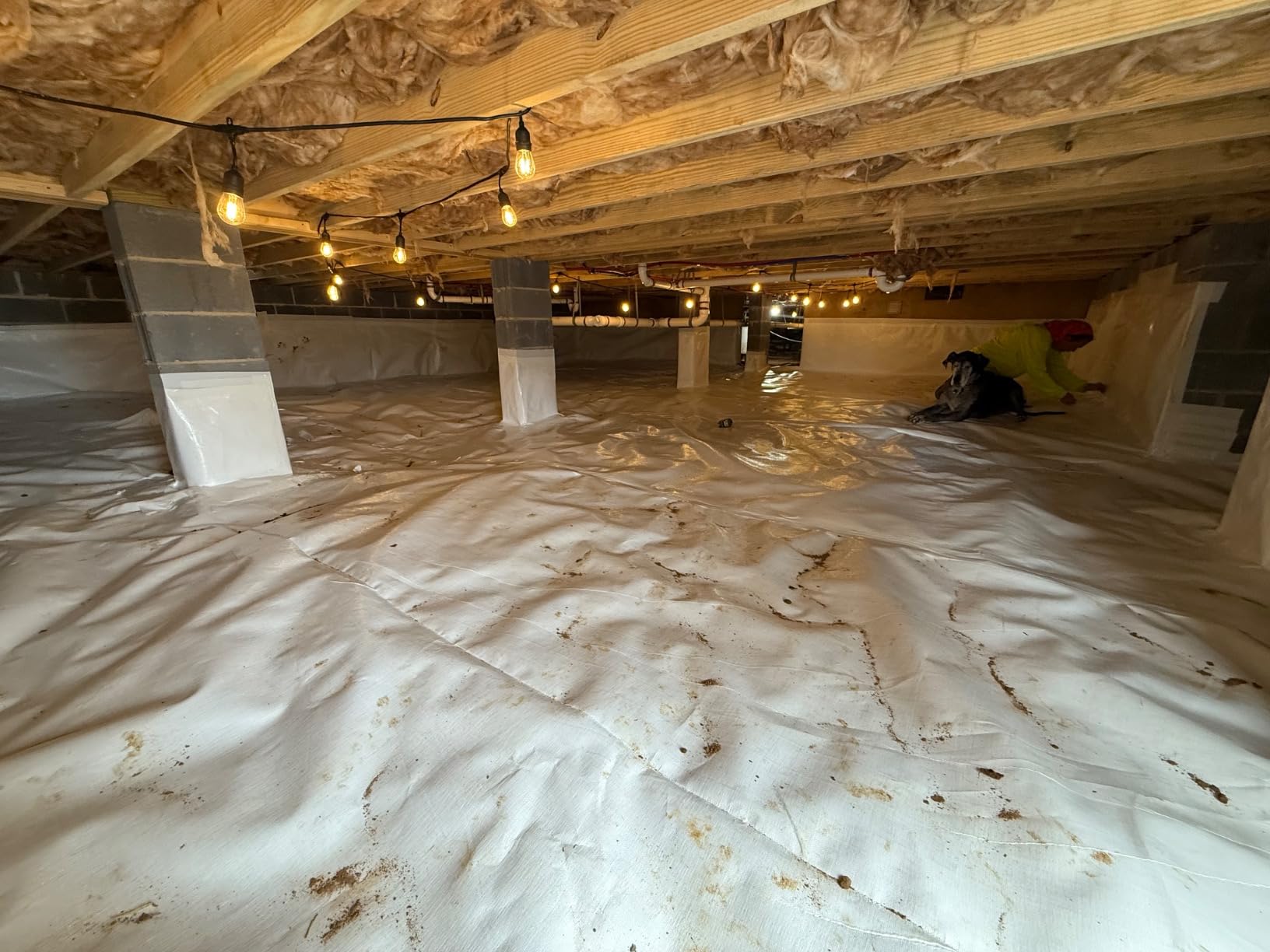 Whitecap - Woven Vapor Barrier - 20 Mil (12' x 100'), Thick Plastic sheeting, Drop Cloth Moisture Barrier Covering for Crawl Space Encapsulation, Life-Time Warranty customer photo 1