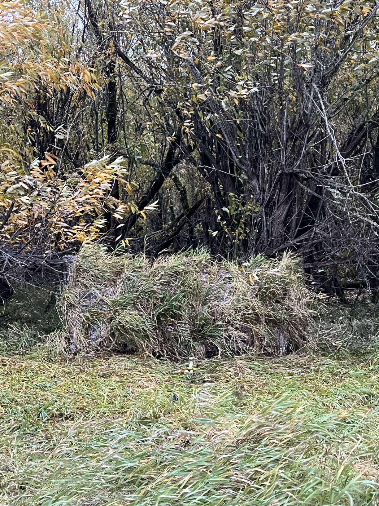 TIDEWE Duck Hunting Blind, Portable Duck Panel Blind, Next Evos Camo customer photo 1