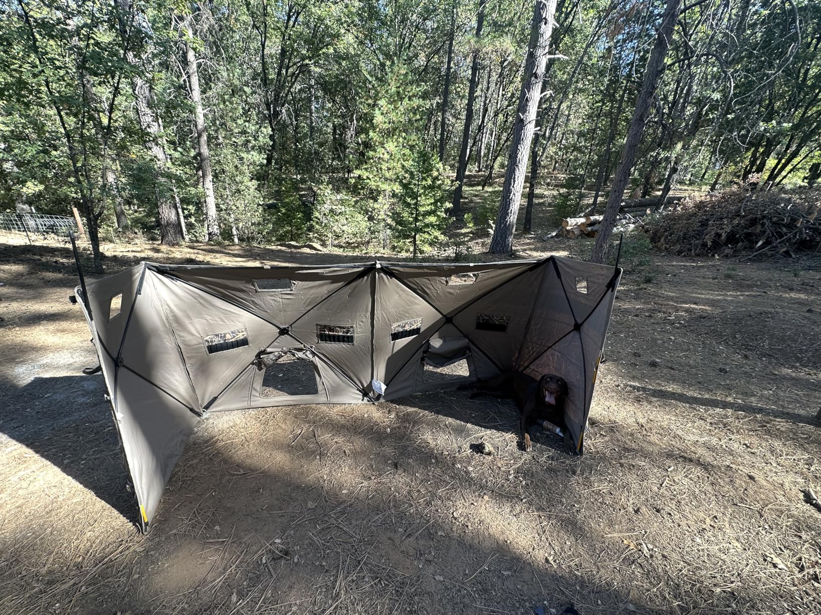 TIDEWE Duck Hunting Blind, Portable Duck Panel Blind, Next Evos Camo customer photo 2