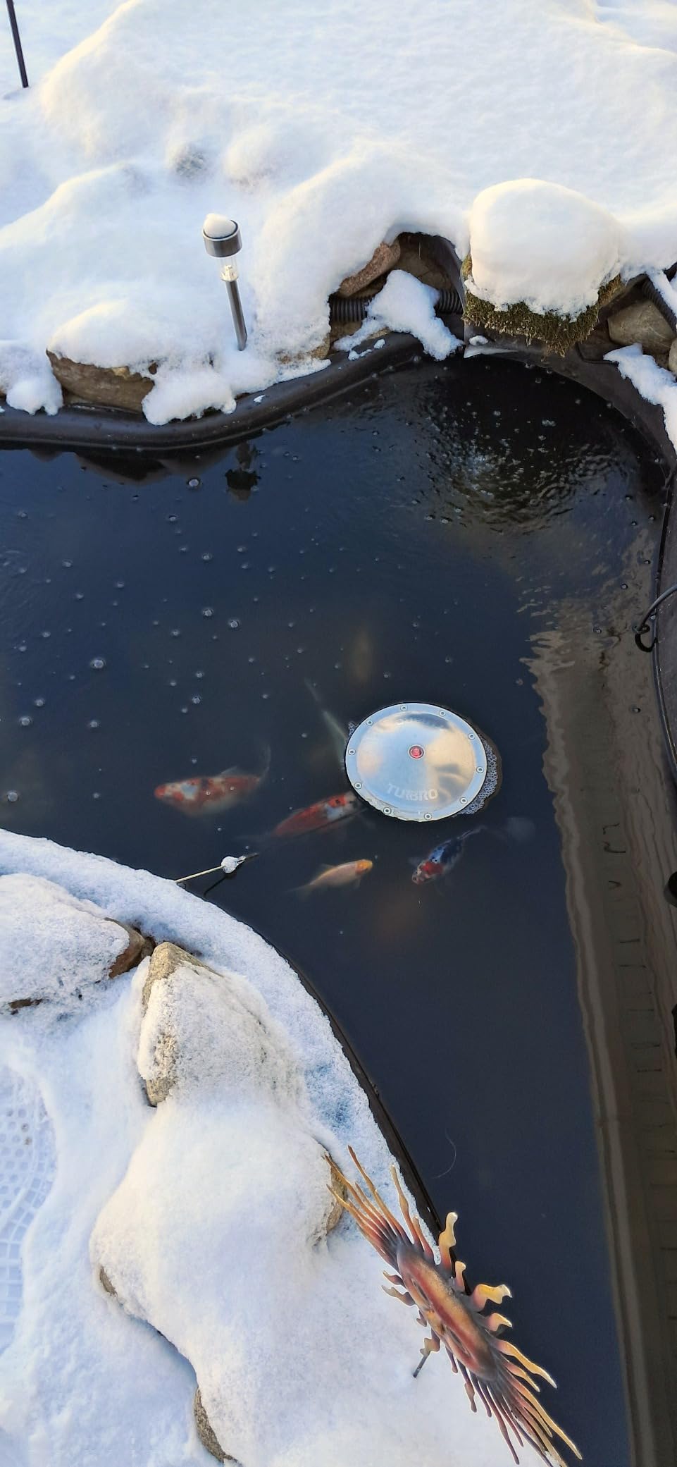 TURBRO Pond De-icer, Floating Pond Heater with 32.8 ft. UL Approved Cord, Full Stainless Steel Casing, GFCI Leakage Protection Plug, for Outdoor Ponds with Fish, 400 Watts, PD400A, Silver customer photo 1