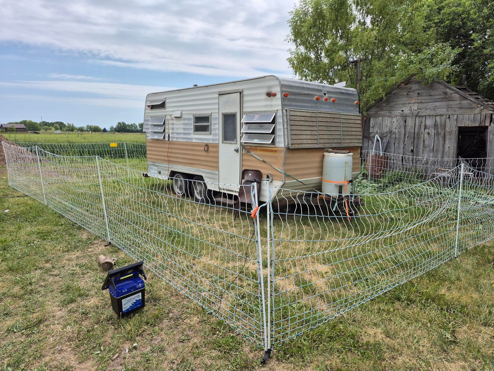 Premier 1 Solar IntelliShock 100 Fence Energizer - 1.0J, 15W Panel | Load-sensing reduces battery drain. Runs on solar or 110V (AC adapter included). For sheep, goats, poultry & cattle. customer photo 1