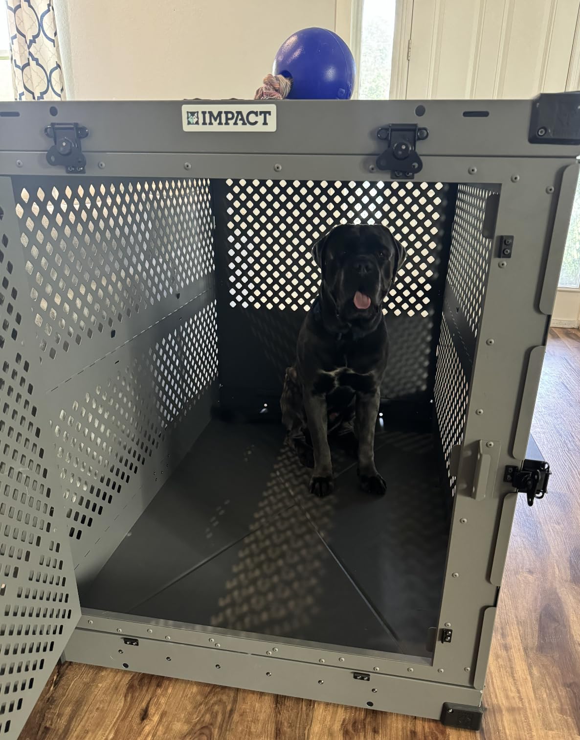 Impact Collapsible Dog Crate - Heavy Duty Travel Aluminum Kennel, Black 30