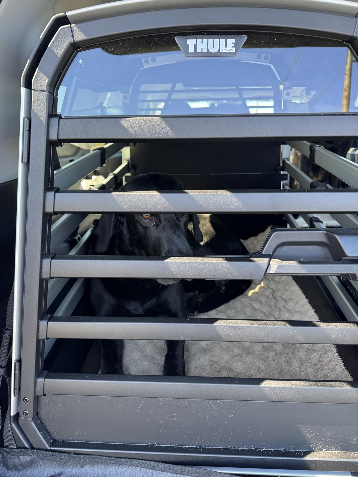 Thule Allax Dog Crate XL customer photo 2