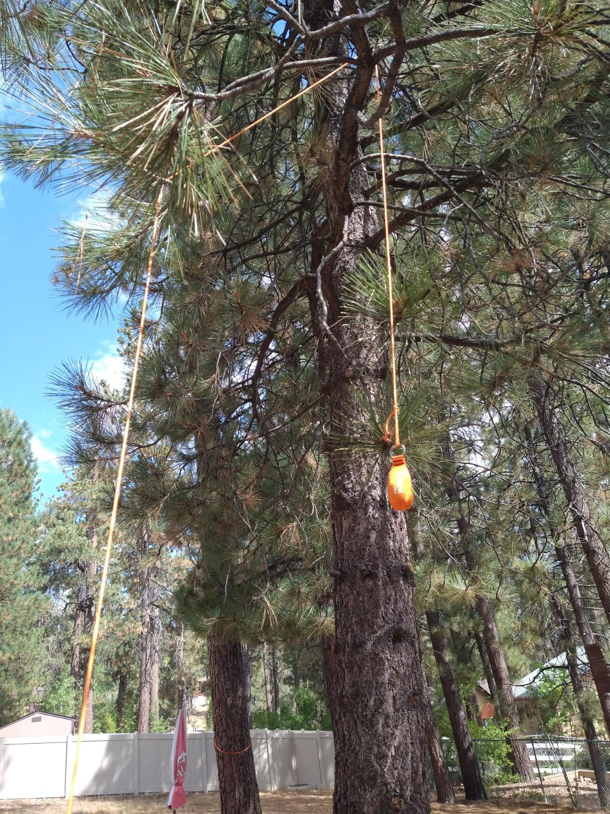 X XBEN Arborist Throw Line Kit with Slick Rope, Throw Weight, Reflective Storage Bag, Suit for Tree Cutting, Camping, Trimming, Hanging Swing, Forestry Tree Gear for Low and High Limb Throwing customer photo 1