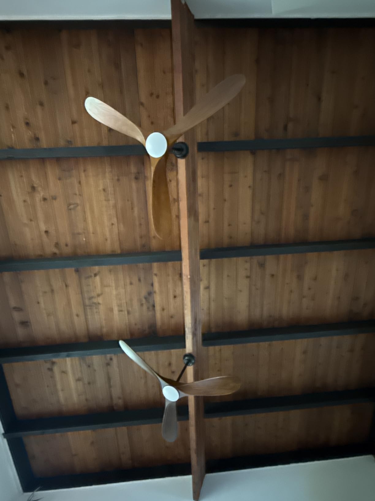 Haipeel 52 Inch Outdoor Ceiling Fan with Light and Remote, Solid Wood customer photo 2