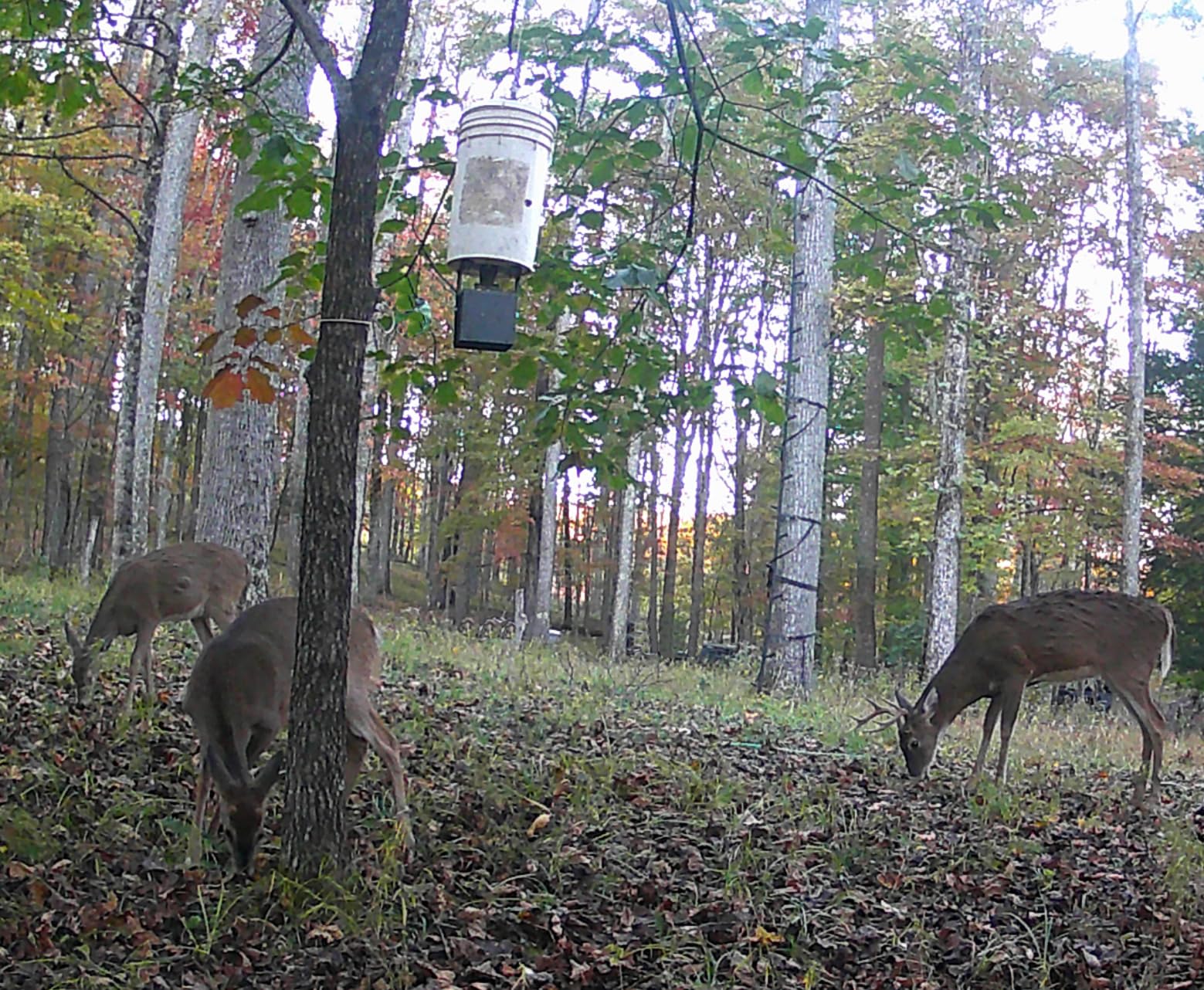 6V Deer Feeder Kit, Motor and Timer Metal Kit, Digital Game Feeder Timer, Mounting Bracket Included, Up to 8 Feed Time, Easy to Install, Weatherproof Feed Kit customer photo 1