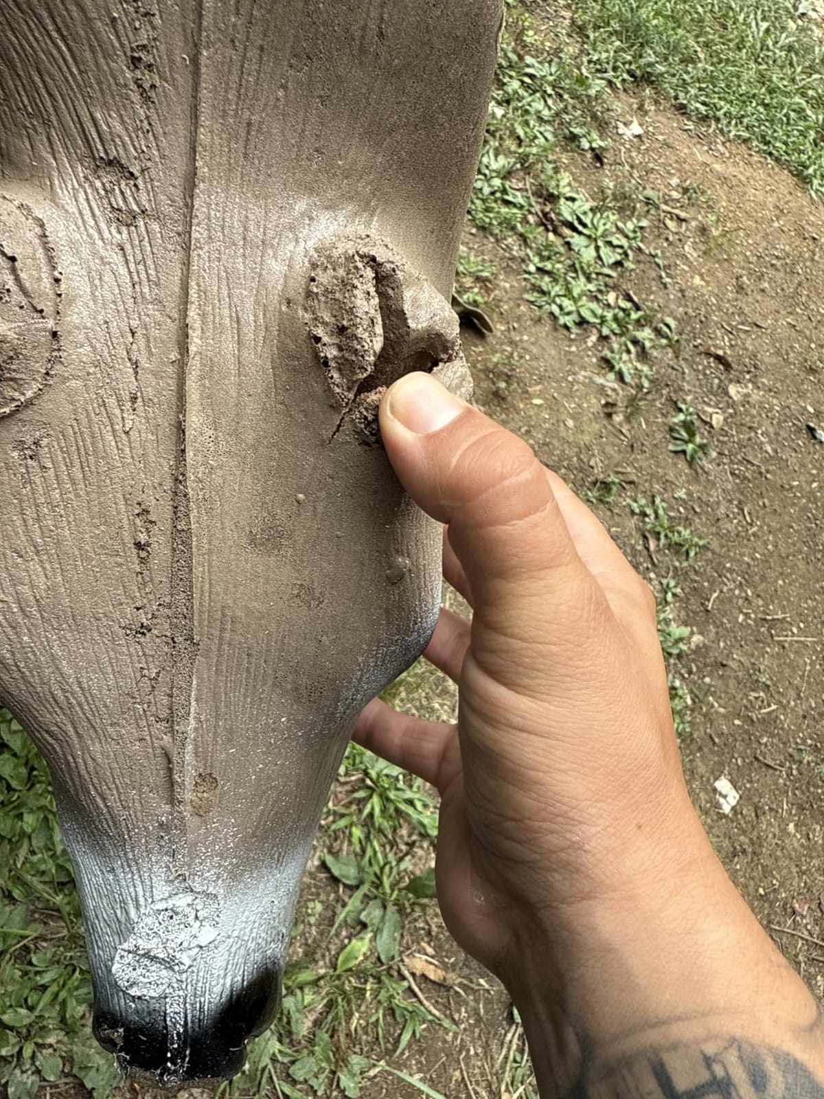 Delta McKenzie Intruder 3D Deer Archery Target - Broadhead Compatible Self-Healing Foam with Replaceable Vital Core - Outdoor Bowhunting Practice Target for Compound Bows & Crossbows (350 FPS Rated) customer photo 1