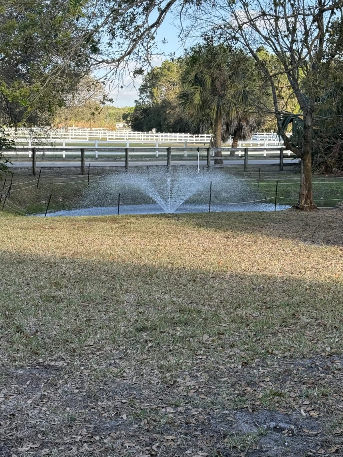 Goldlife Pond Fountain Aerator F2 1HP 750W 15000GPH Floating Fountains Pump customer photo 2