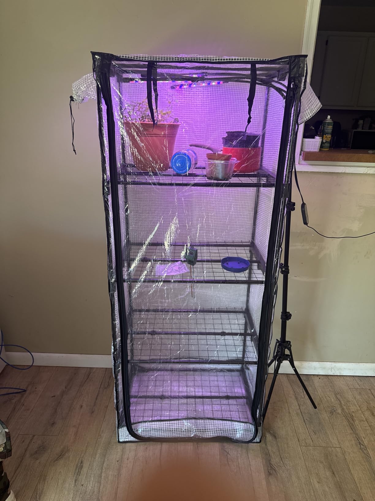 Mushroom Grow Tent | Martha Tent, Small Greenhouse for Indoor, Fruiting Chamber, Fits Monotub customer photo 2
