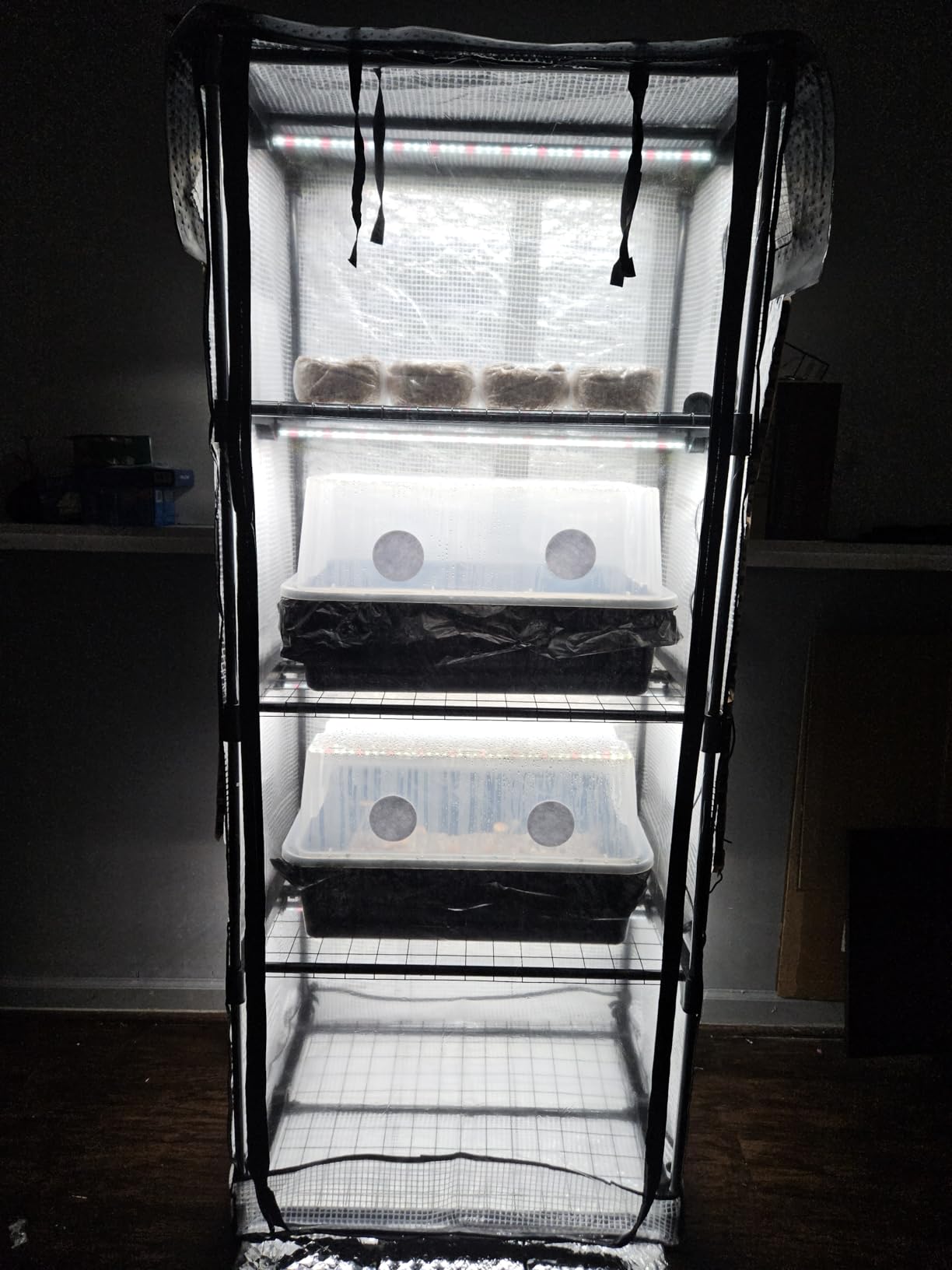 Mushroom Grow Tent with 6500K LED Light & Timer, 4-Tier Shelves | Fits Humidifier,Fits FAE, Waterproof Tray Included, 4 Vents, Fits Up to 8 Monotubs, Martha Tent customer photo 2
