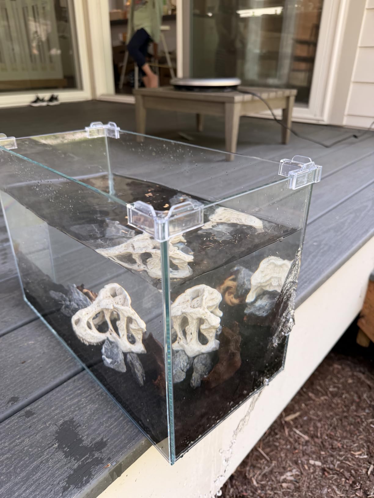 Vimvins 3 Gallon Glass Small Fish Tank, Betta Fish Tank Starter Kit with Filter, Lights,Lid. customer photo 2