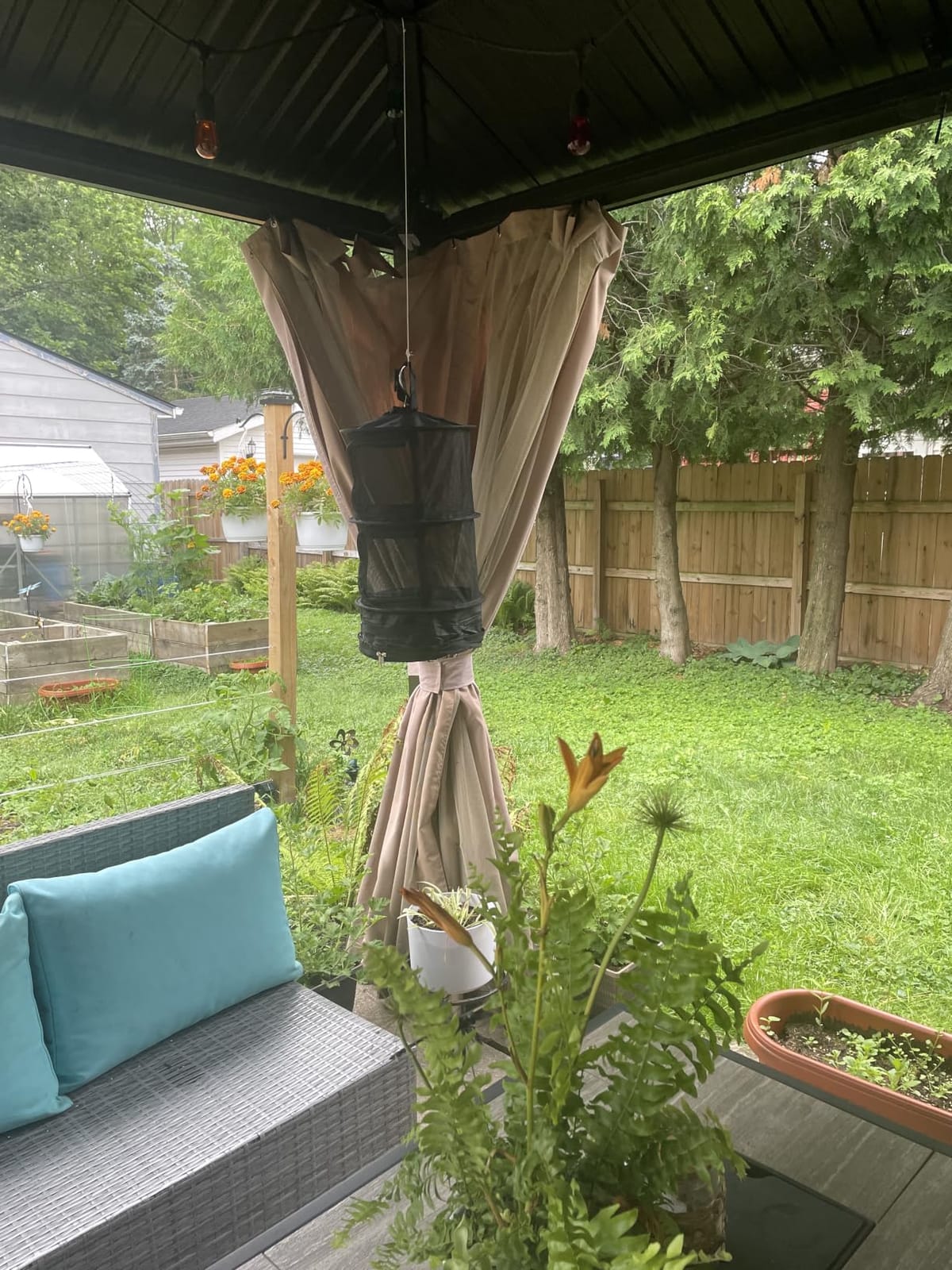 Herb Drying Rack, 2ft Diameter 7 Layer Hanging Mesh Net | Plant Drying Rack with Door Type Zipper & Closed Storage Compartment for Folding Basket Dryer Fiting in Grow Tents, Garden customer photo 2